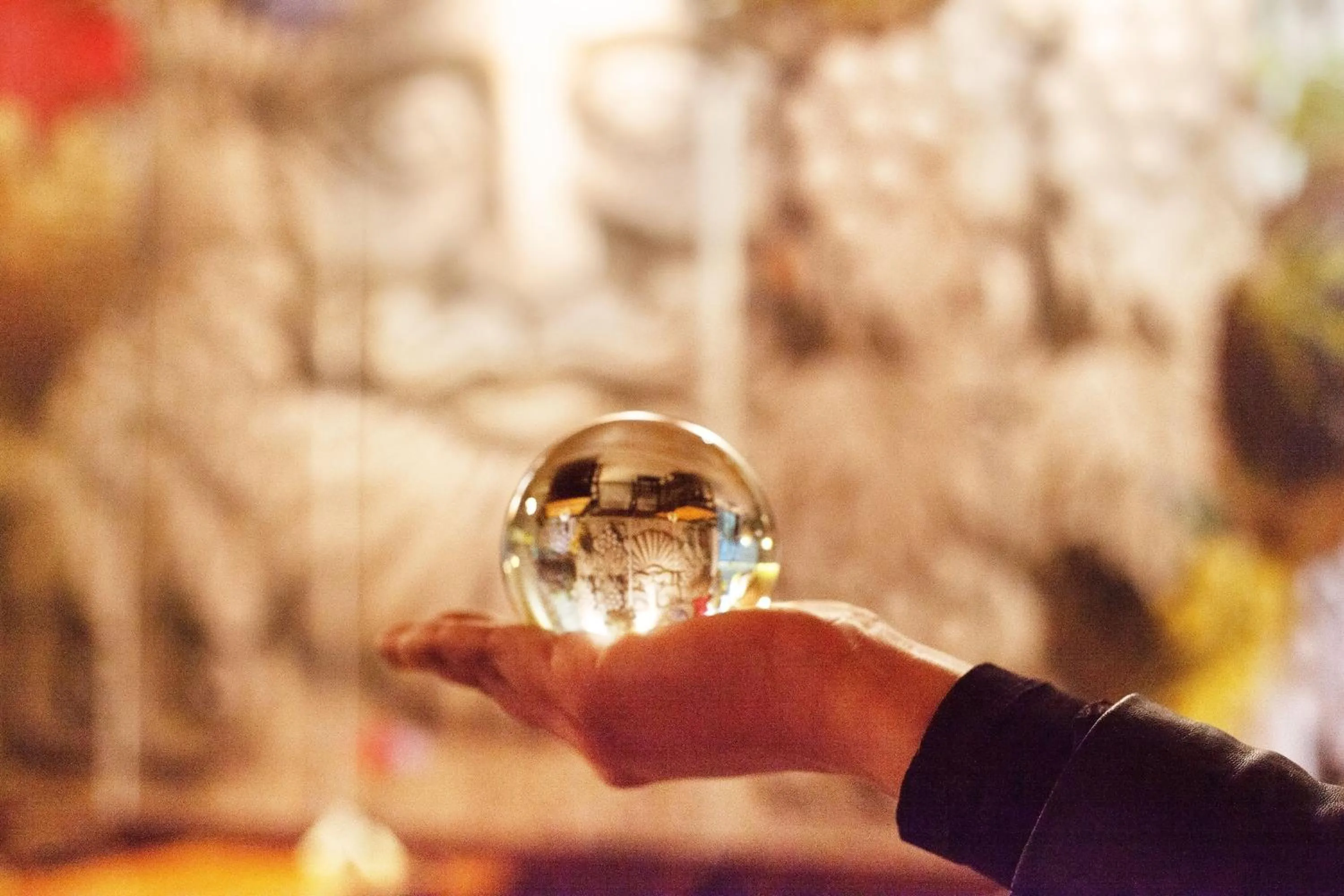 Other in VINIFERA VINEYARDS HOTEL