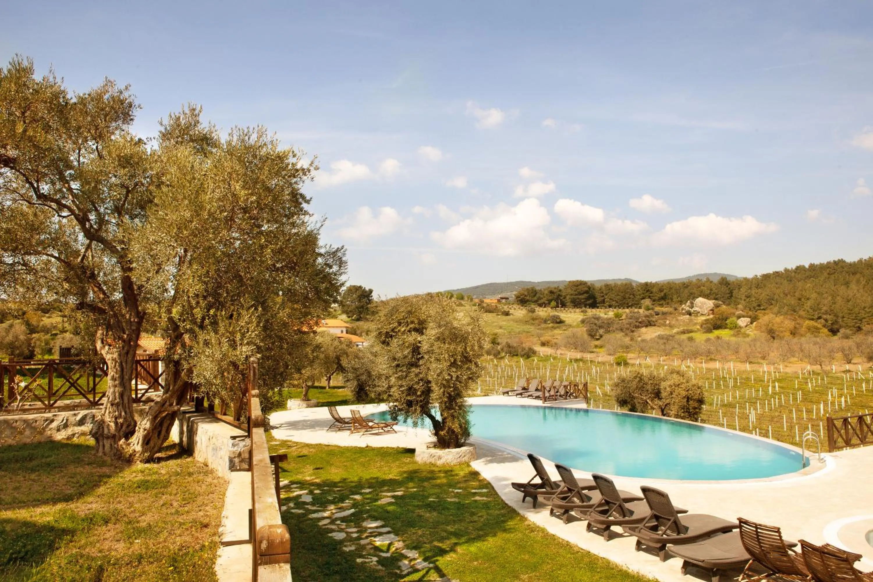 Garden in VINIFERA VINEYARDS HOTEL