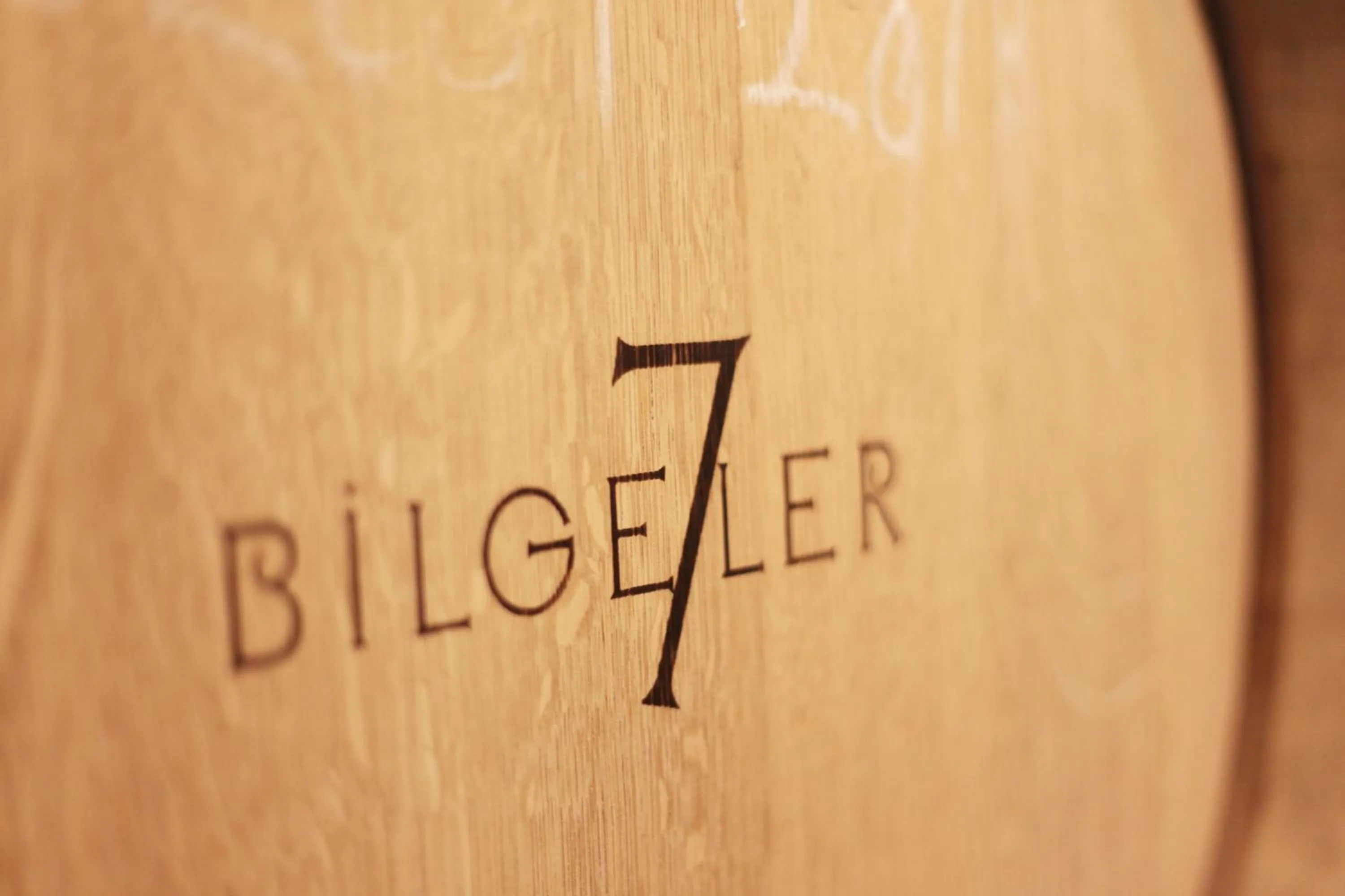 Property logo or sign in VINIFERA VINEYARDS HOTEL