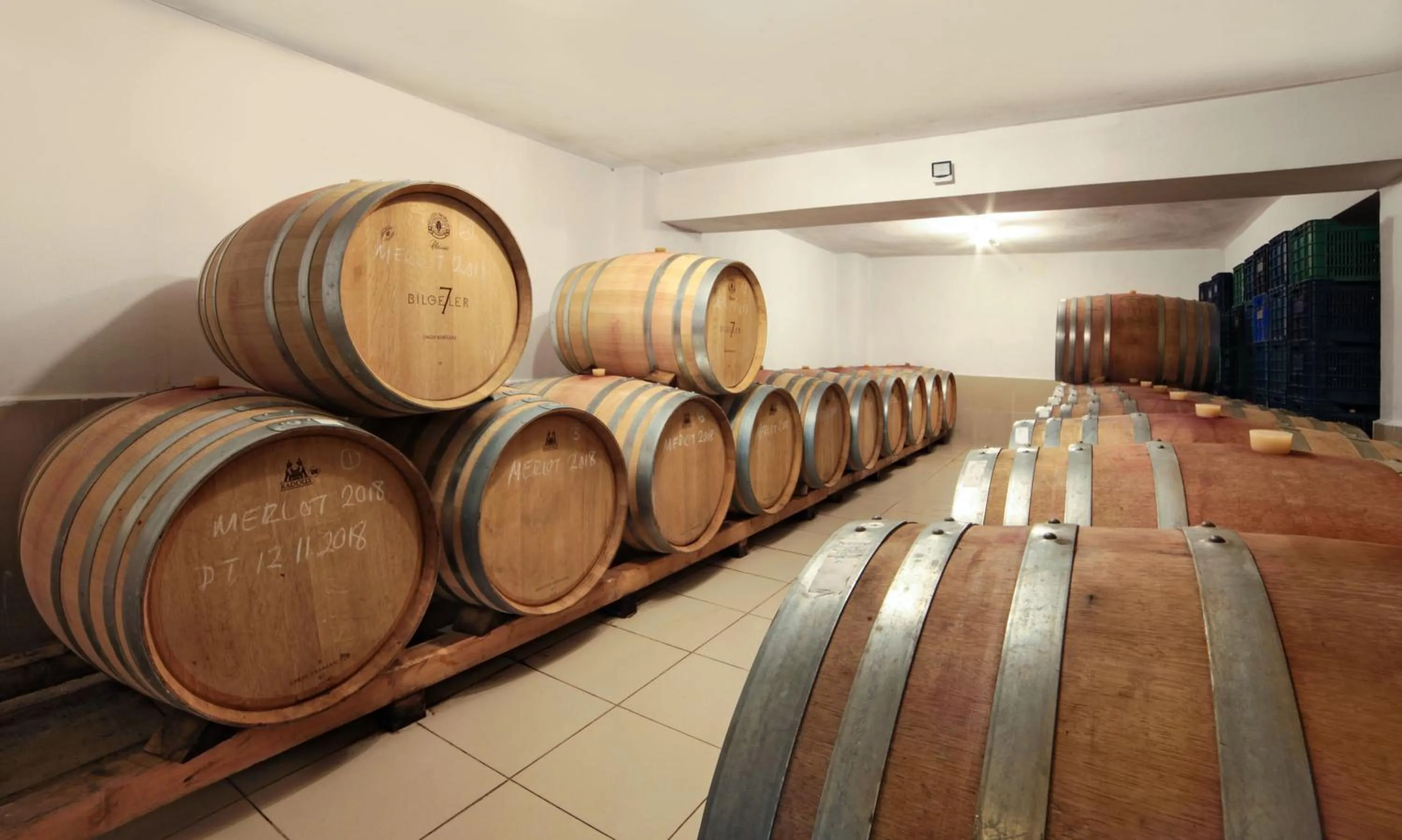 Activities in VINIFERA VINEYARDS HOTEL