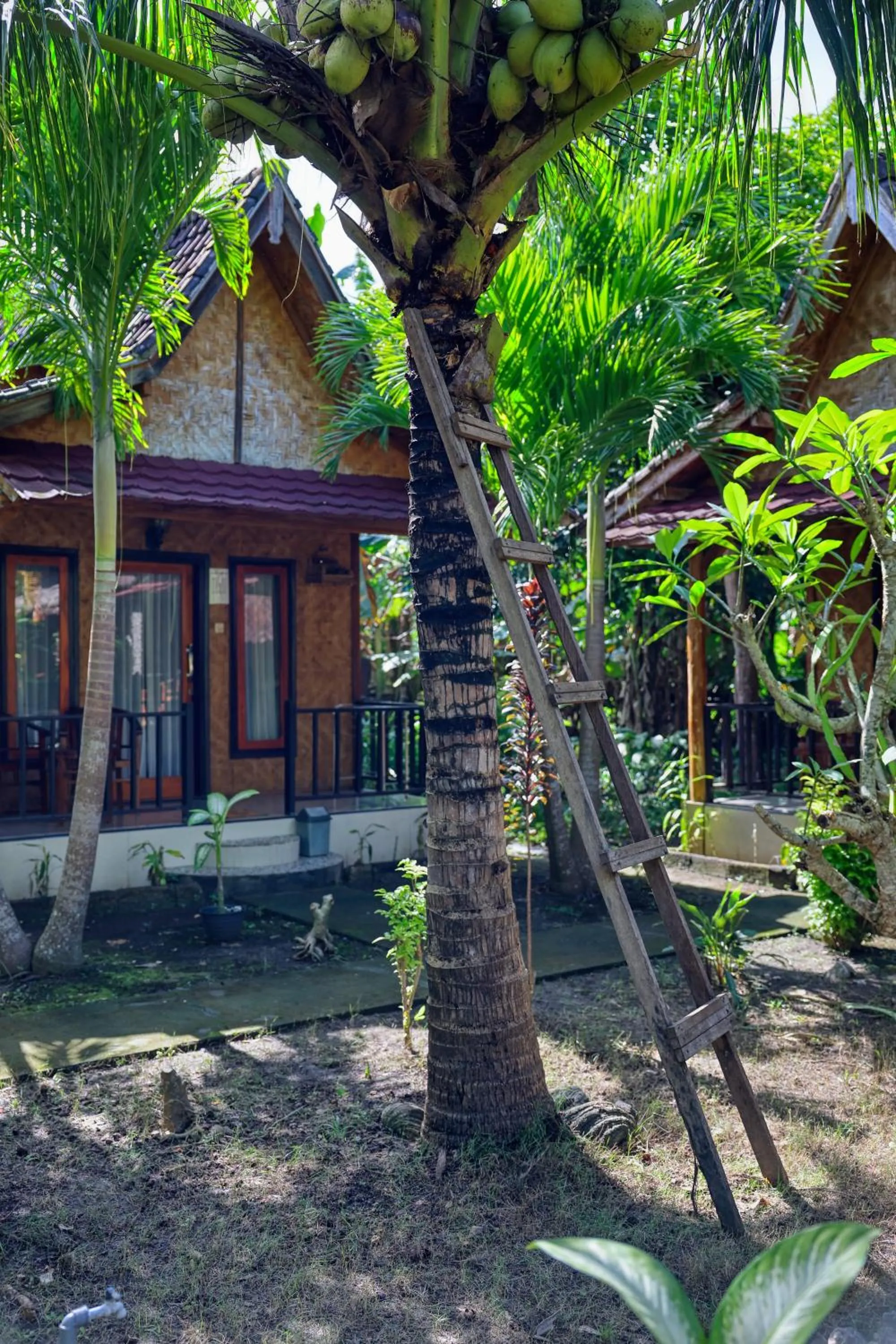 Property building in Kubu Artha Bungalow Nusa Penida