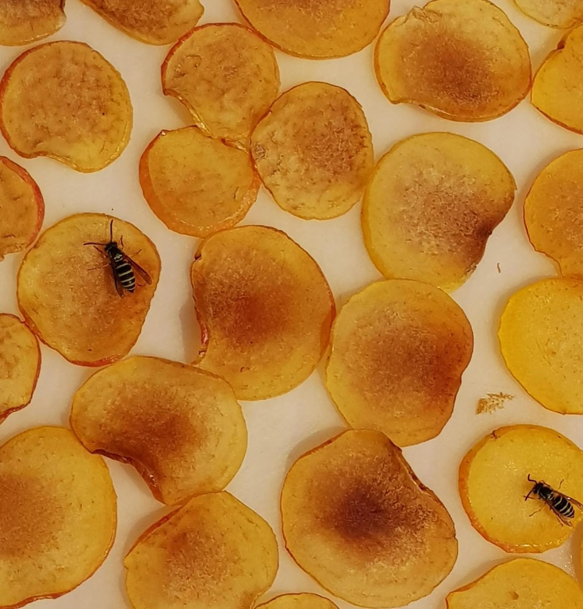 Namyangju Bukhangang dolcecasa hotel