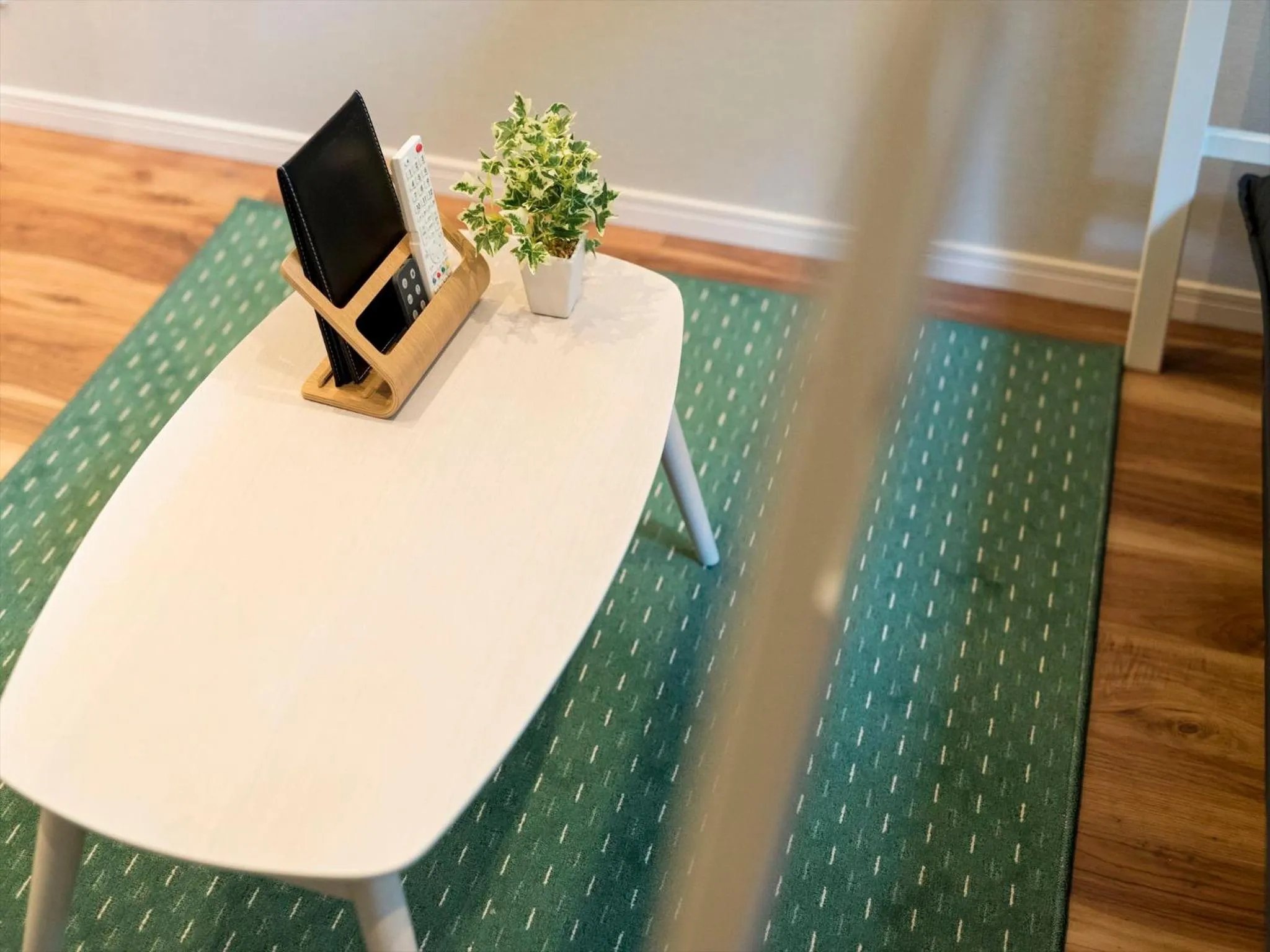 Living room in TRIP POD TSUMASHOJI