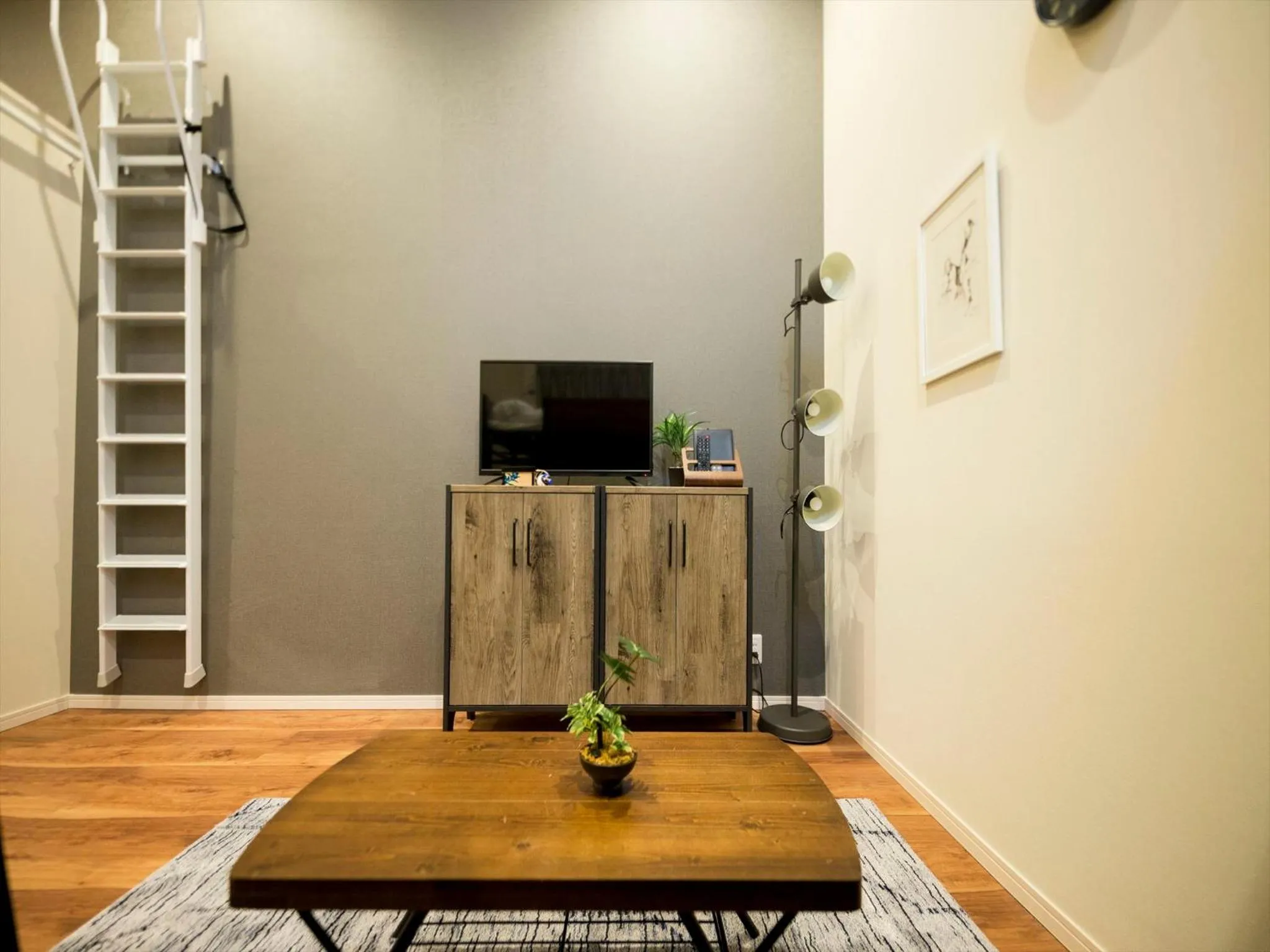 TV and multimedia in TRIP POD TSUMASHOJI