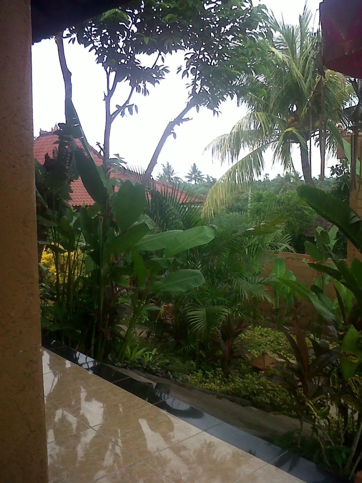 Garden view in Eliska Sari Bungalows Sumberkima