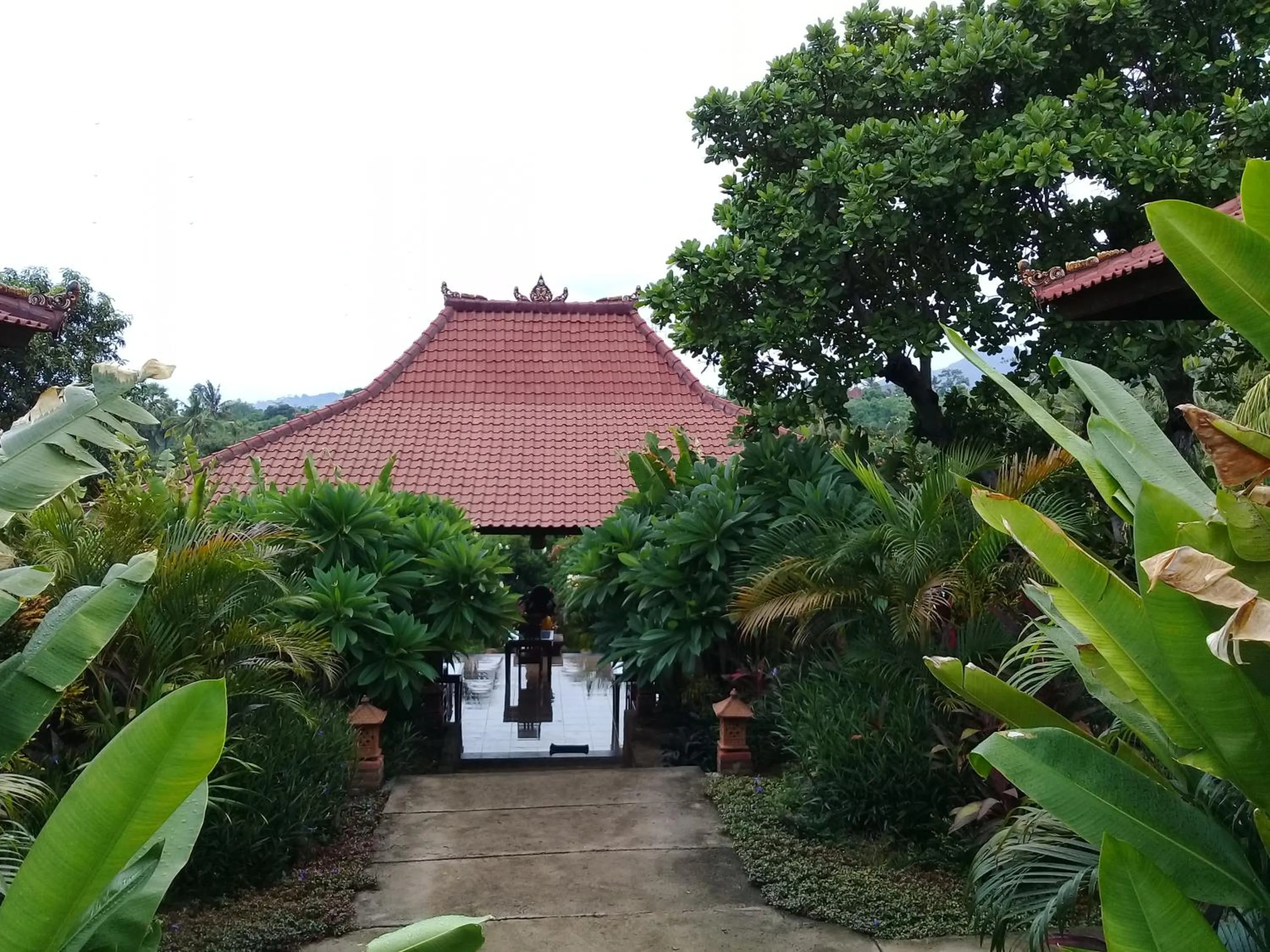 Garden in Eliska Sari Bungalows Sumberkima