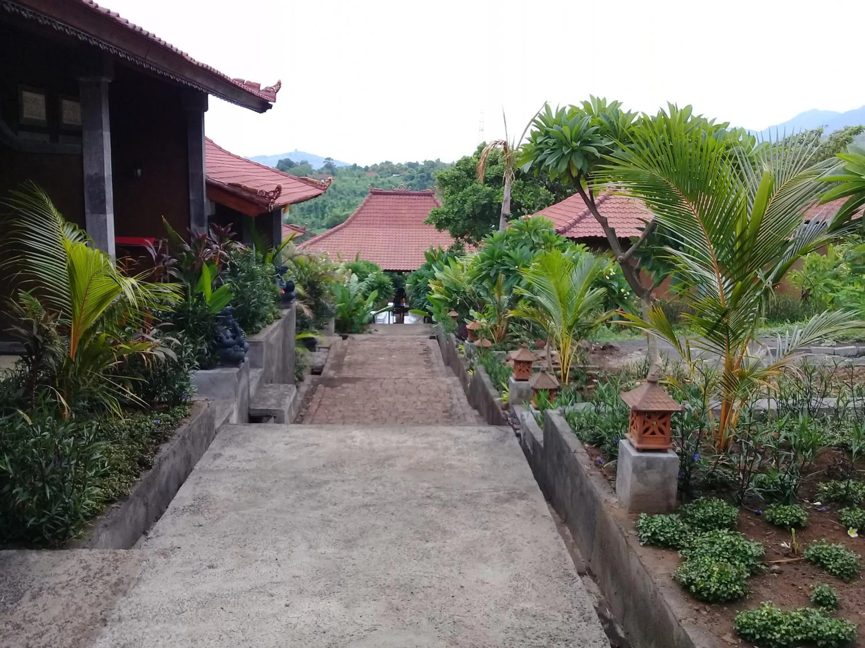 Garden in Eliska Sari Bungalows Sumberkima