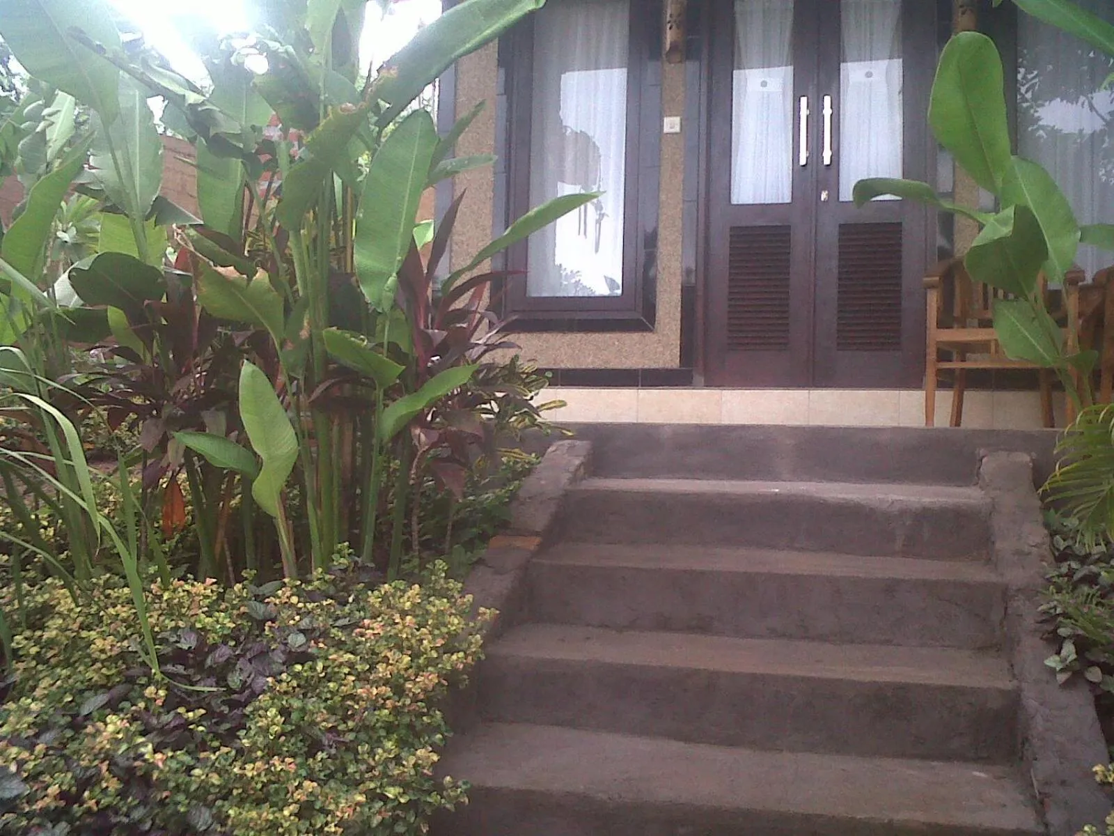 Garden in Eliska Sari Bungalows Sumberkima