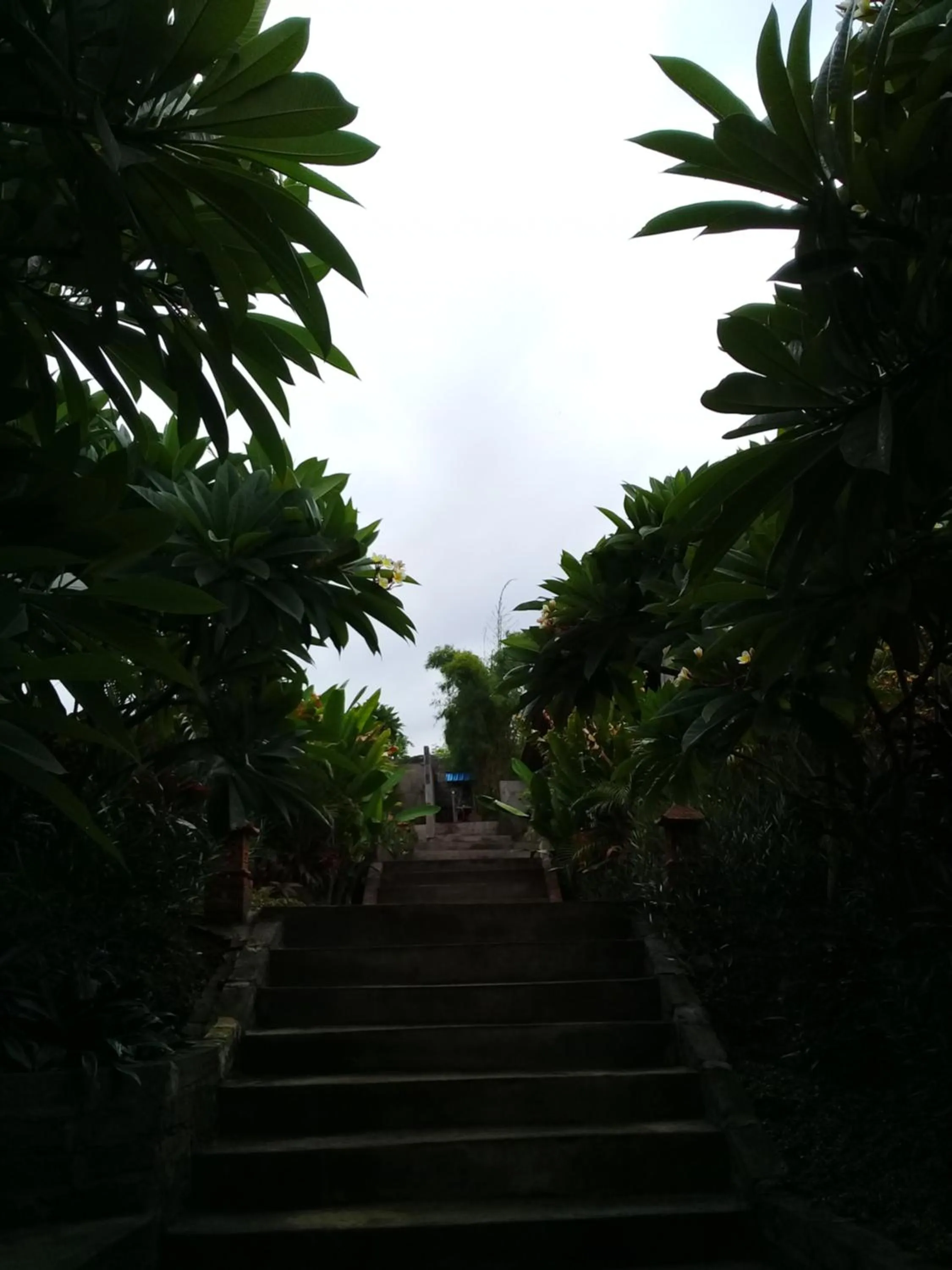 Natural landscape in Eliska Sari Bungalows Sumberkima