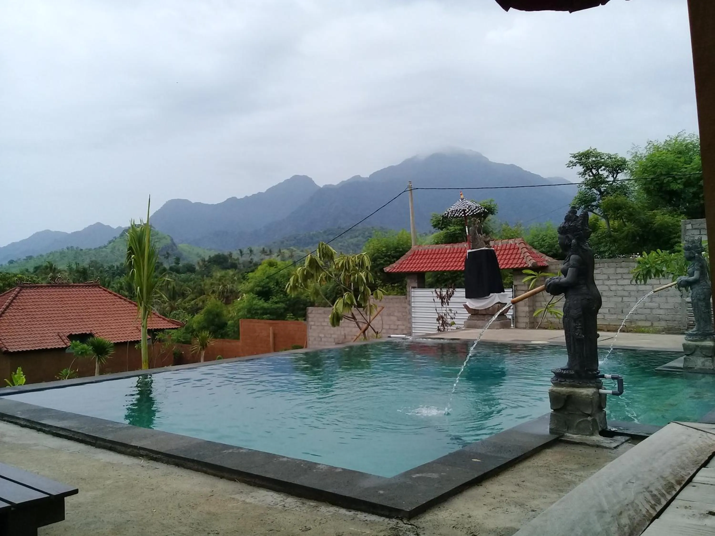 Swimming pool in Eliska Sari Bungalows Sumberkima