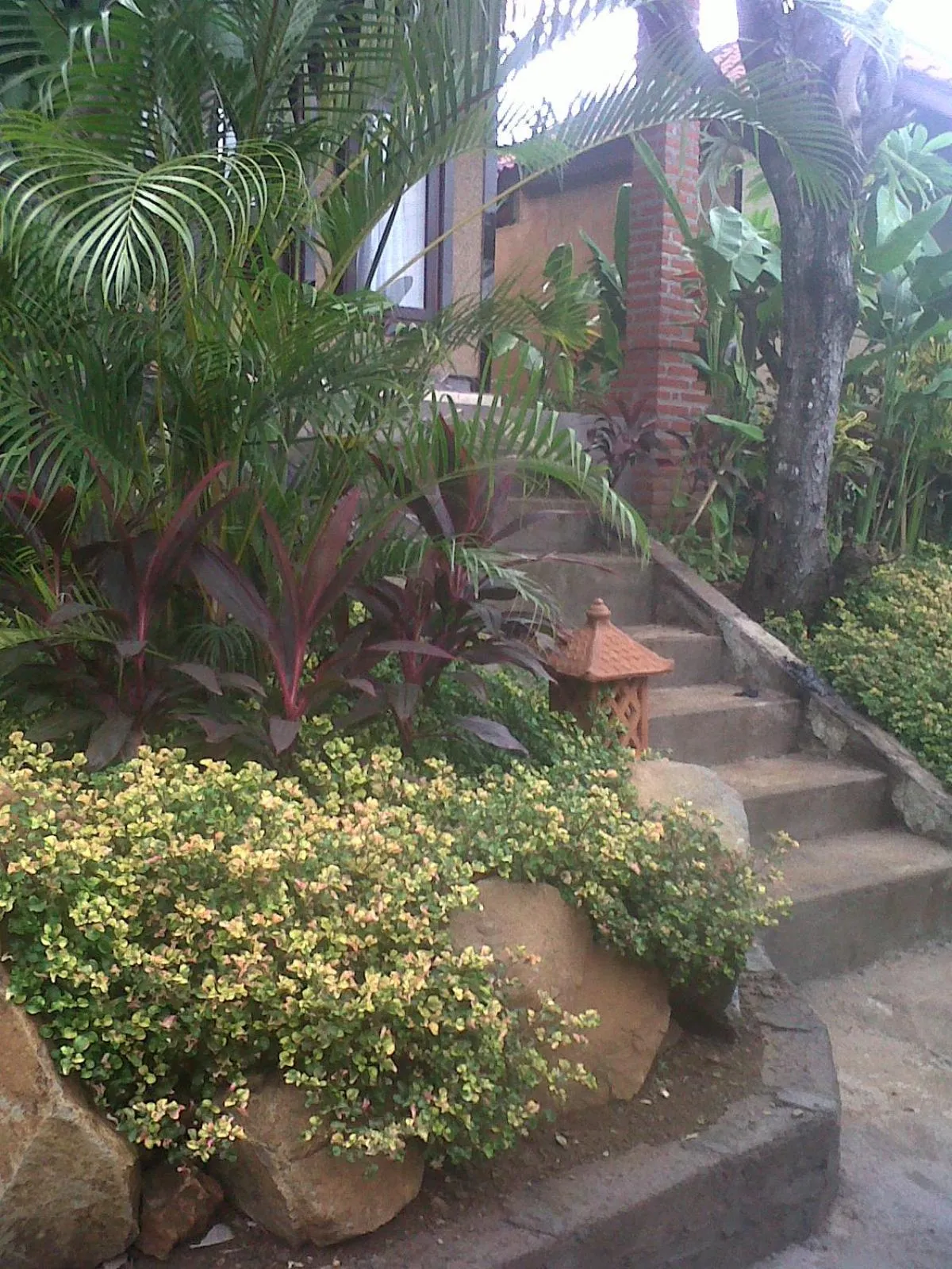 Garden in Eliska Sari Bungalows Sumberkima