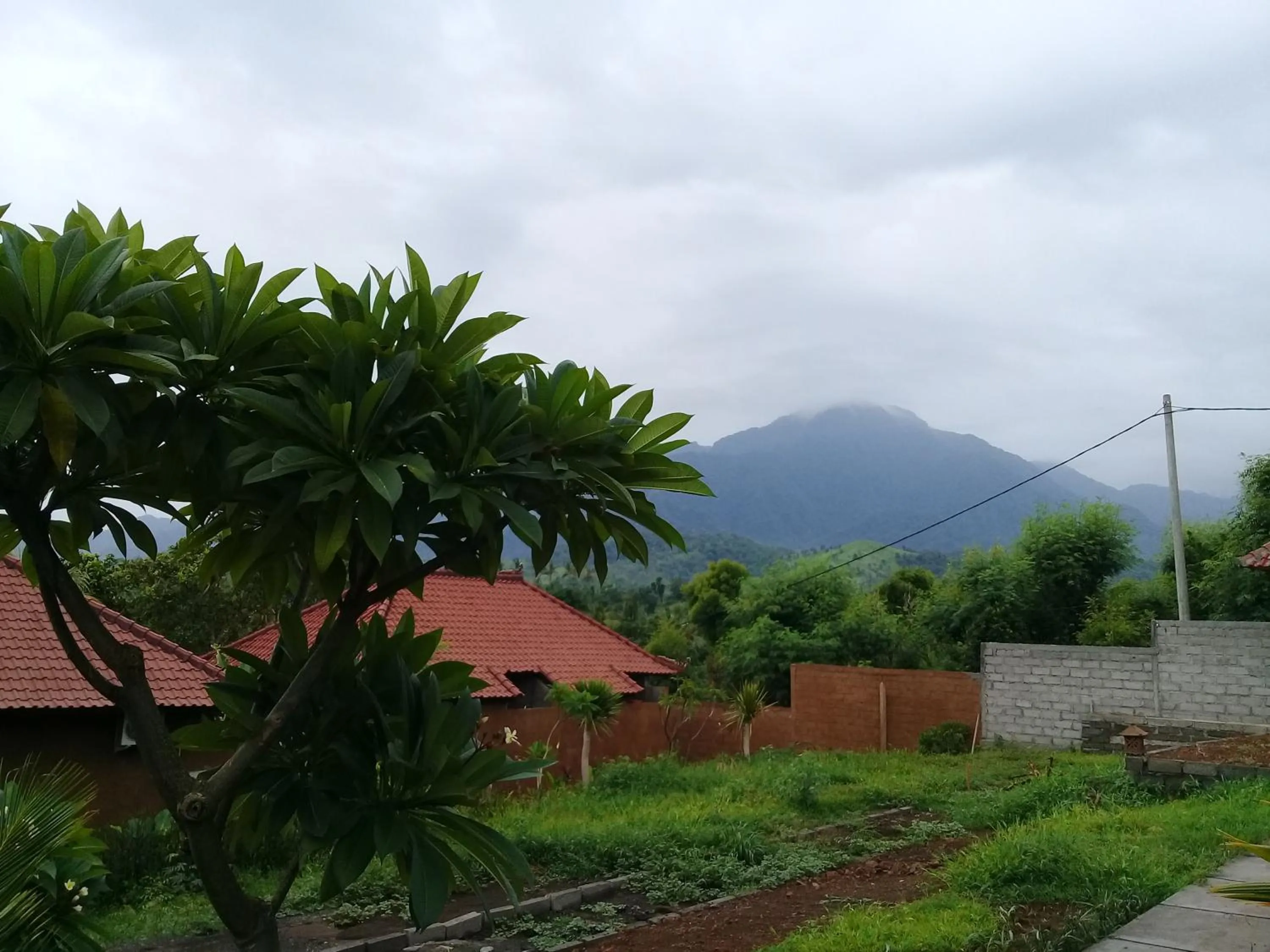 Natural landscape in Eliska Sari Bungalows Sumberkima