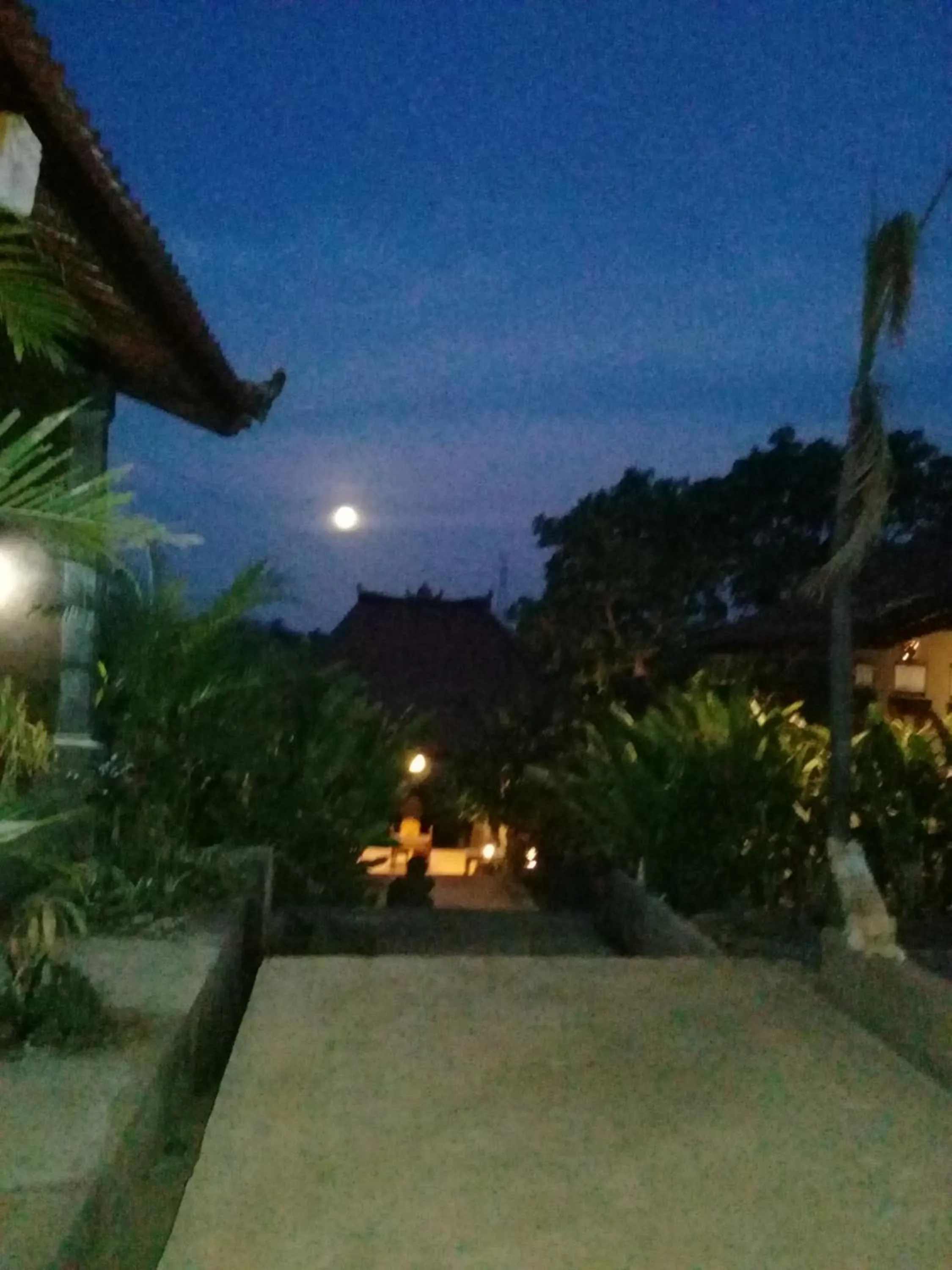 Natural landscape in Eliska Sari Bungalows Sumberkima