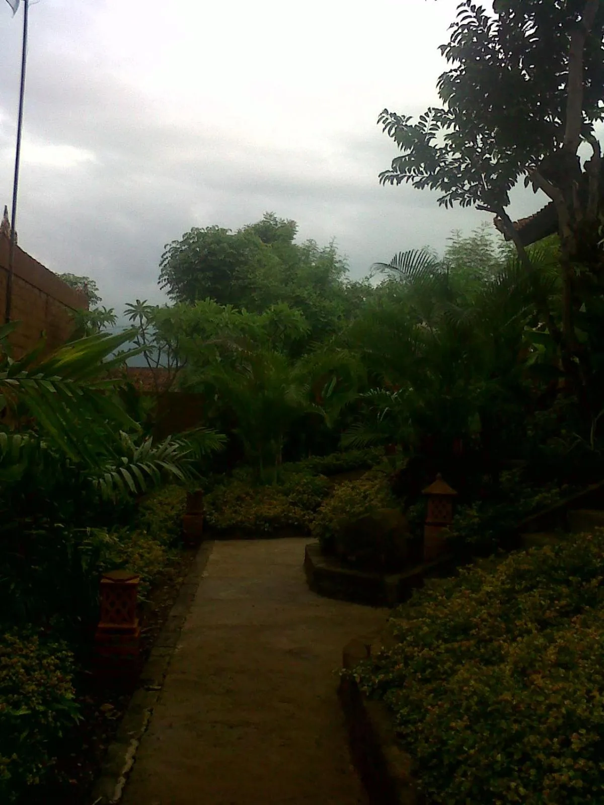 Garden in Eliska Sari Bungalows Sumberkima