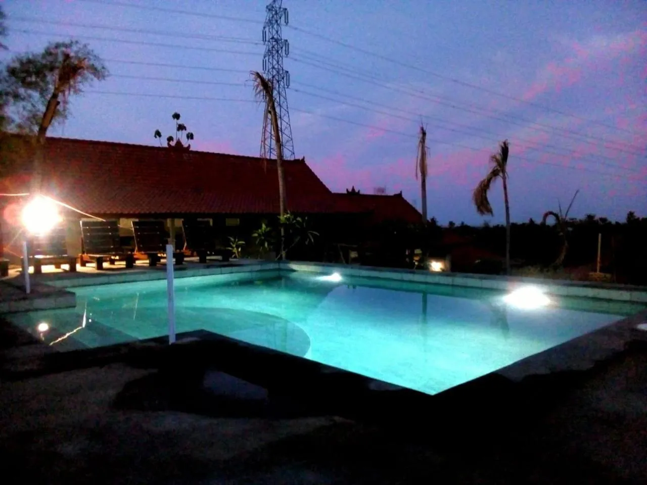 Swimming pool in Eliska Sari Bungalows Sumberkima