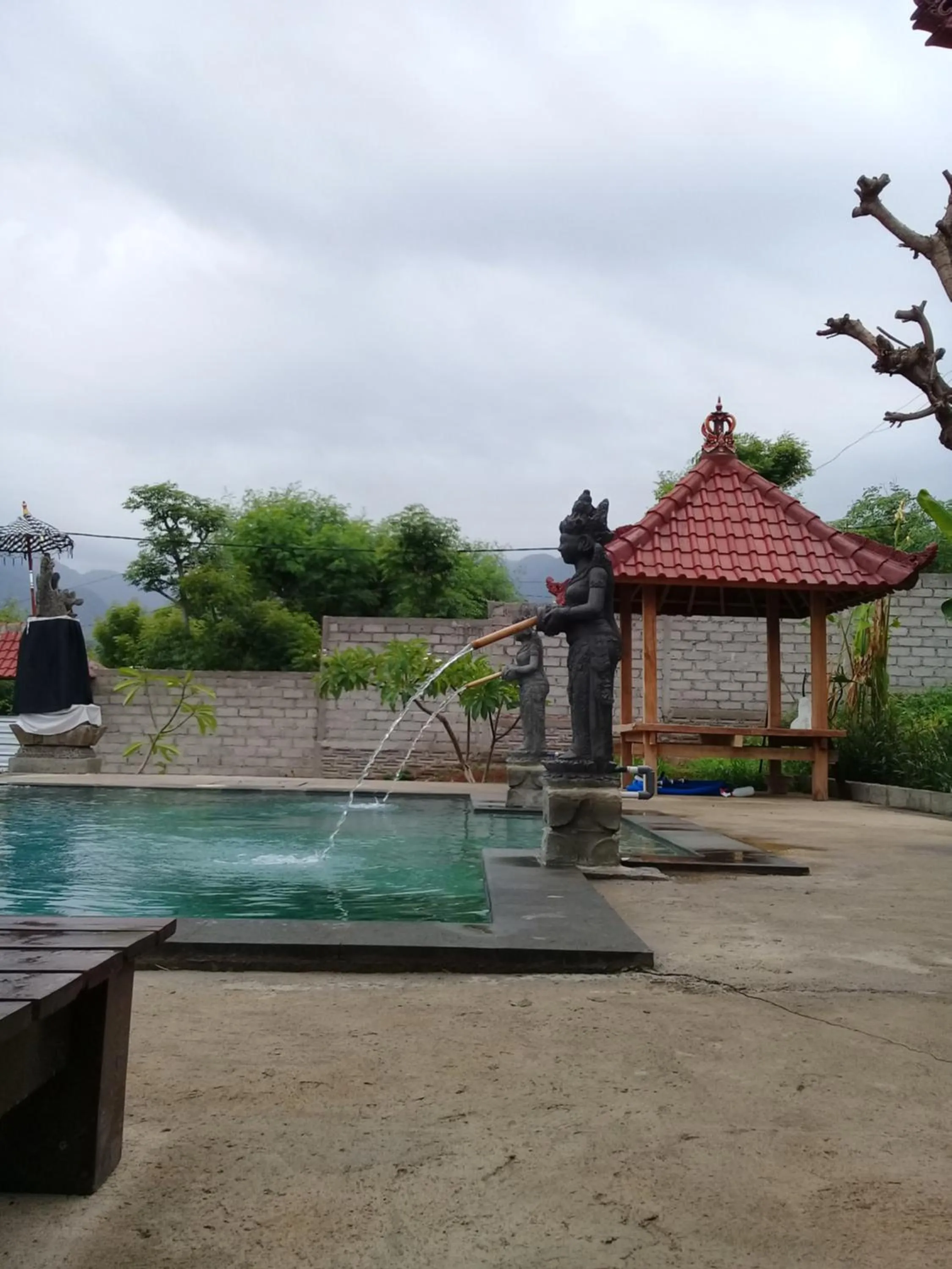 Swimming pool in Eliska Sari Bungalows Sumberkima