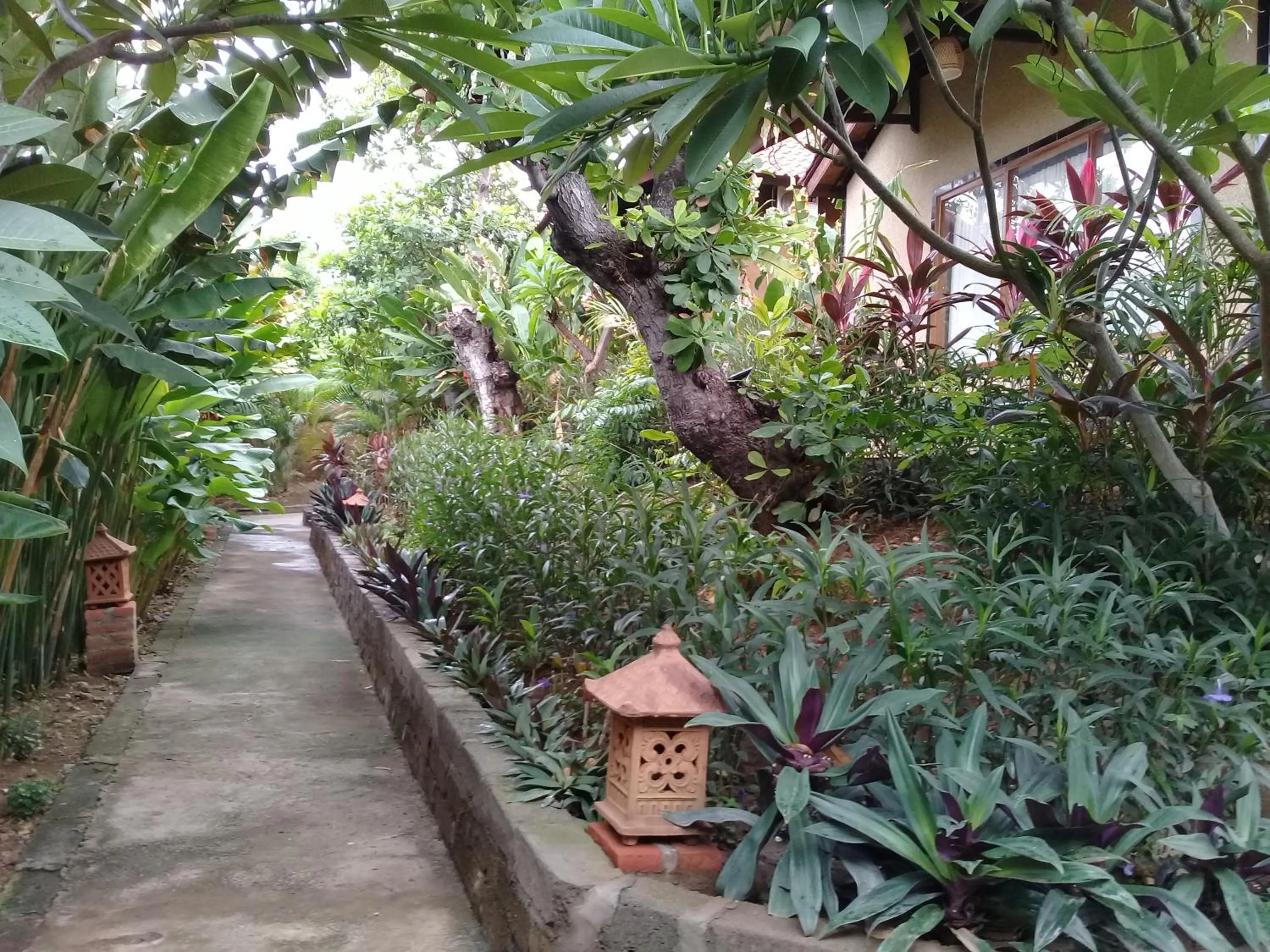 Garden in Eliska Sari Bungalows Sumberkima