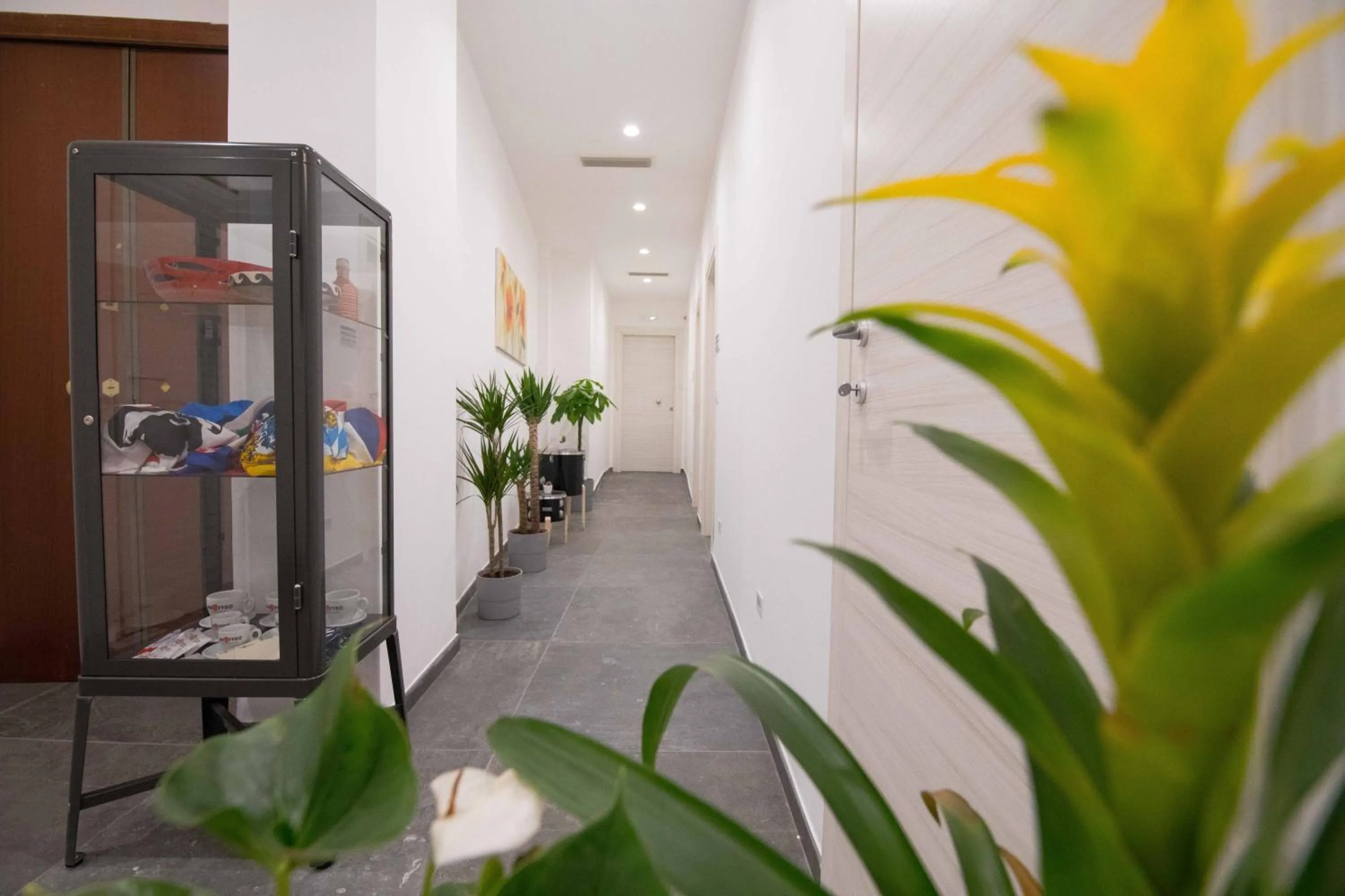 Decorative detail in Quattro Briganti