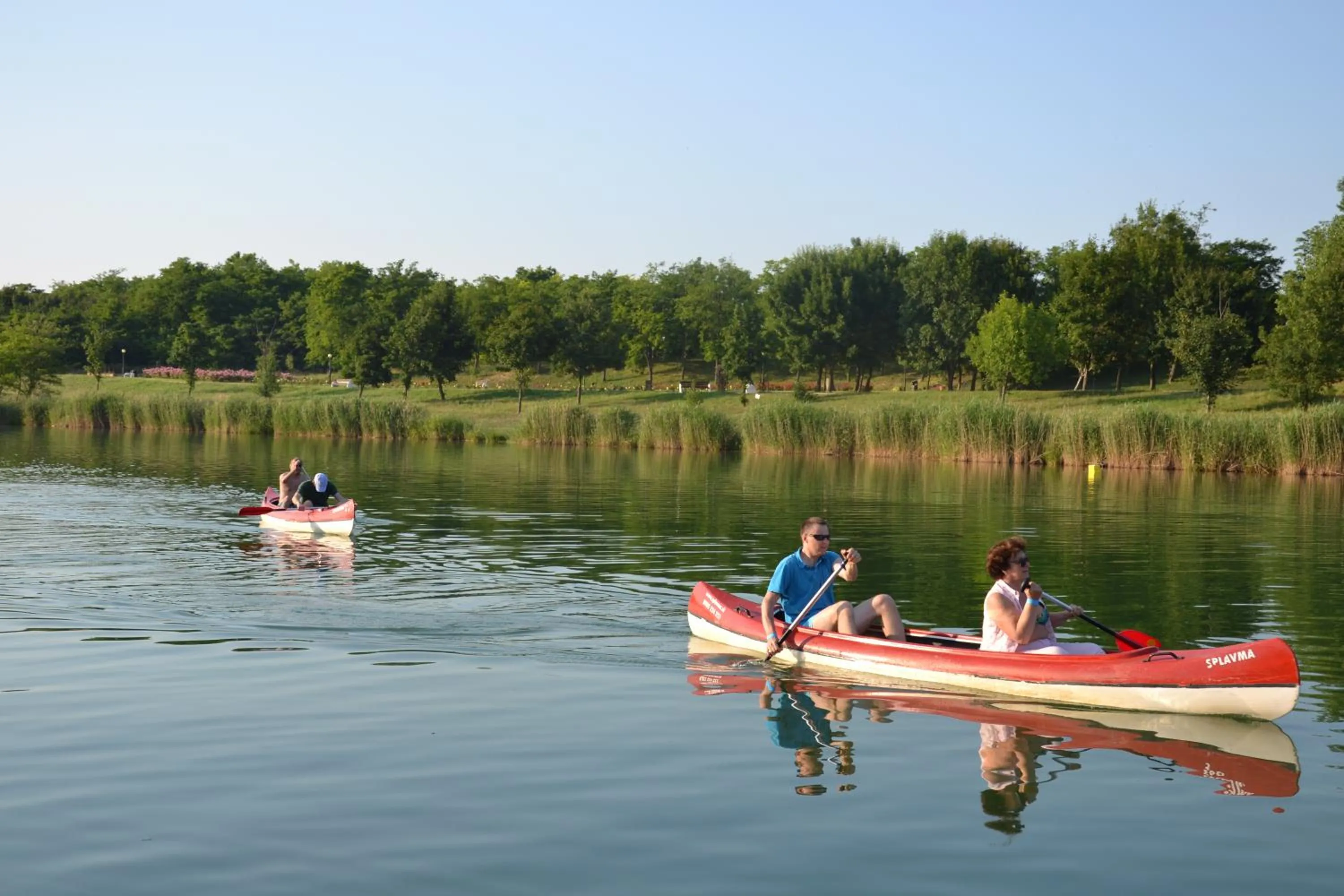 Activities in Hotel Kormorán