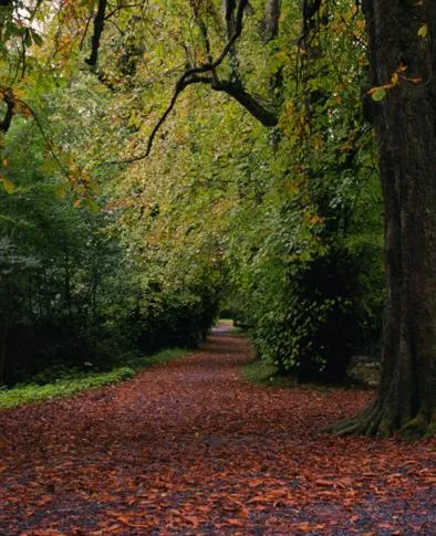 Natural landscape in River Island Hotel