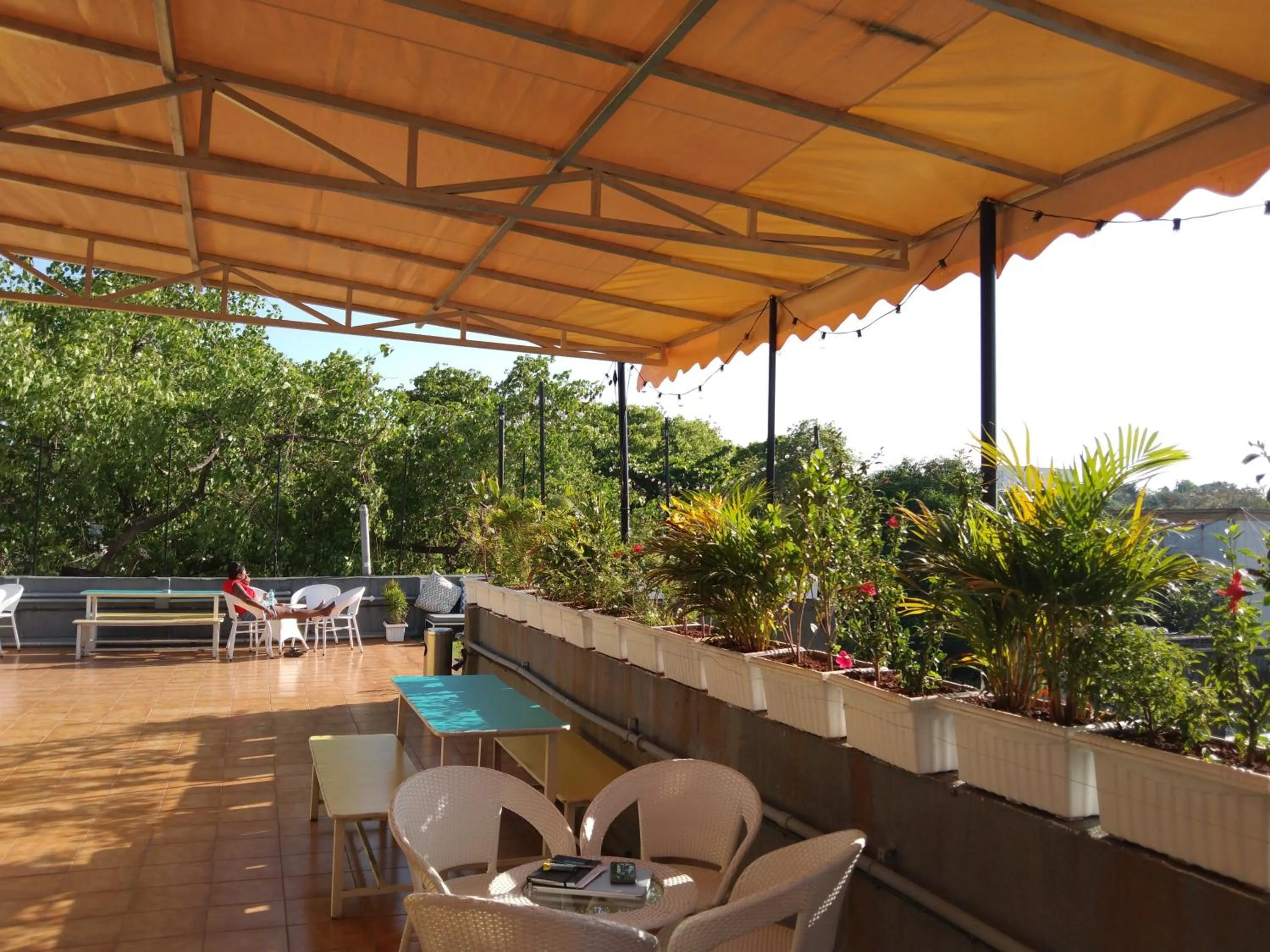 Garden view in Locomo Hostel OG - Stay Work Eat