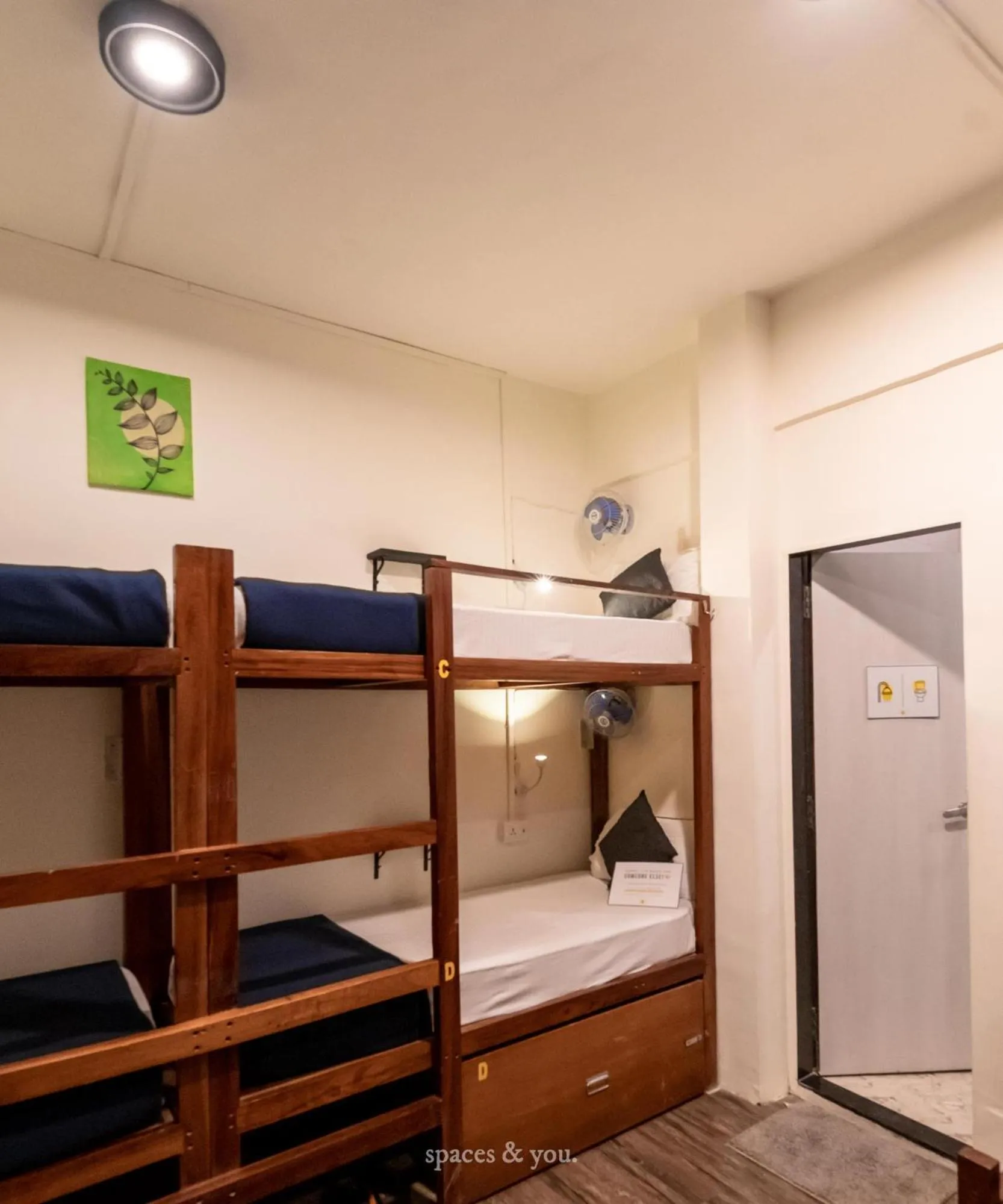 bunk bed, Bed in Locomo Hostel OG - Stay Work Eat