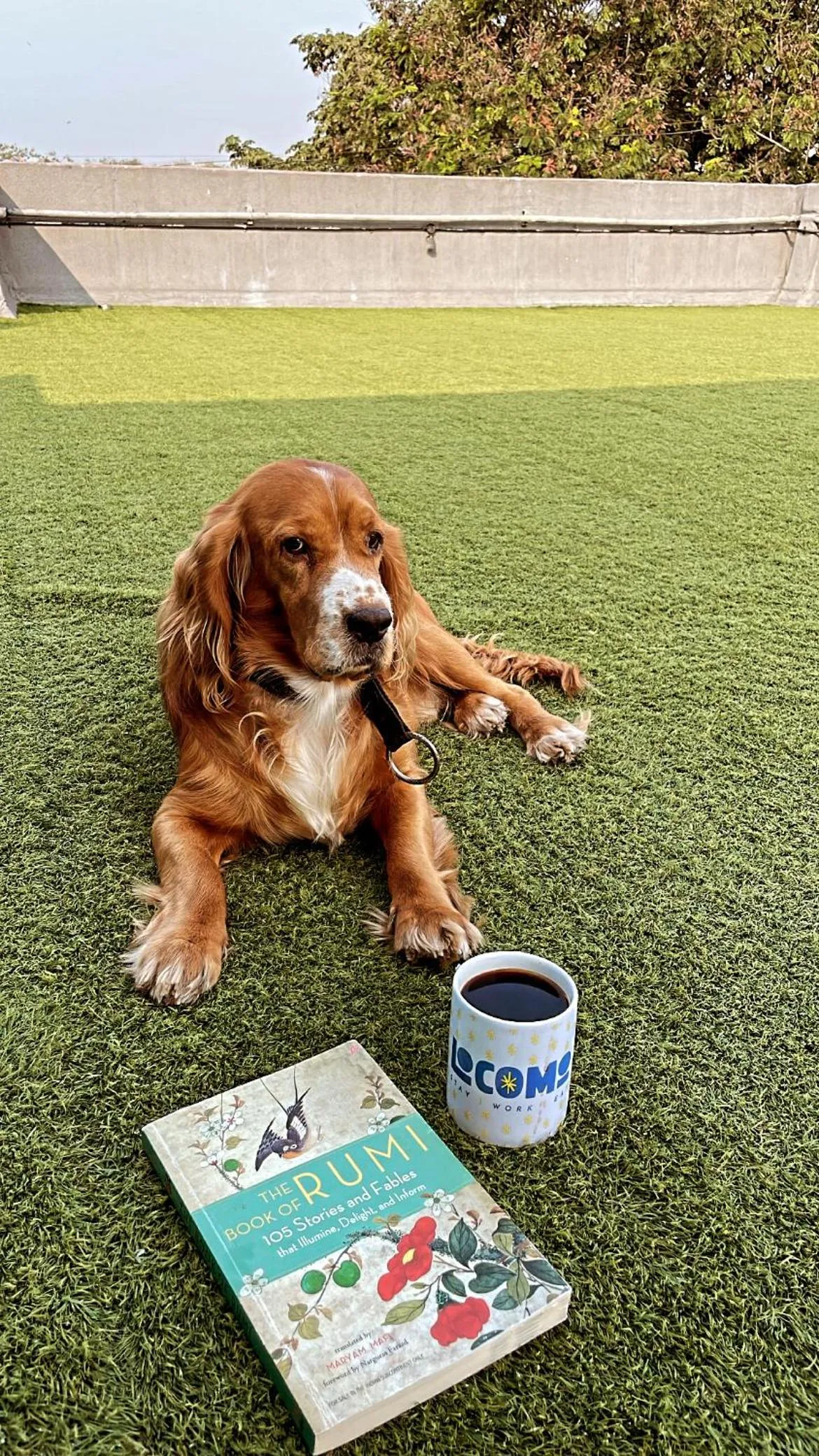 Day in Locomo Hostel OG - Stay Work Eat