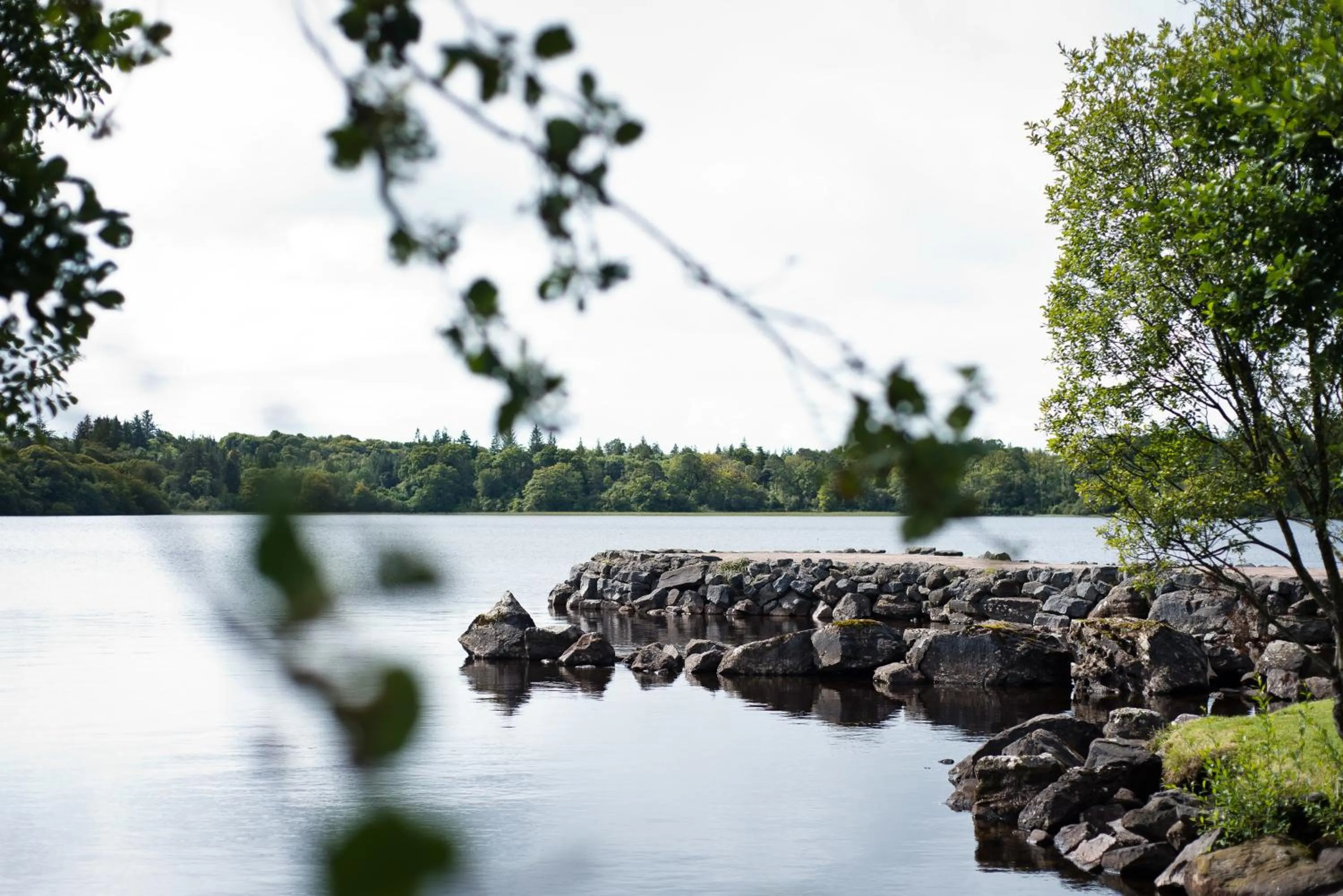 Other in Harvey's Point