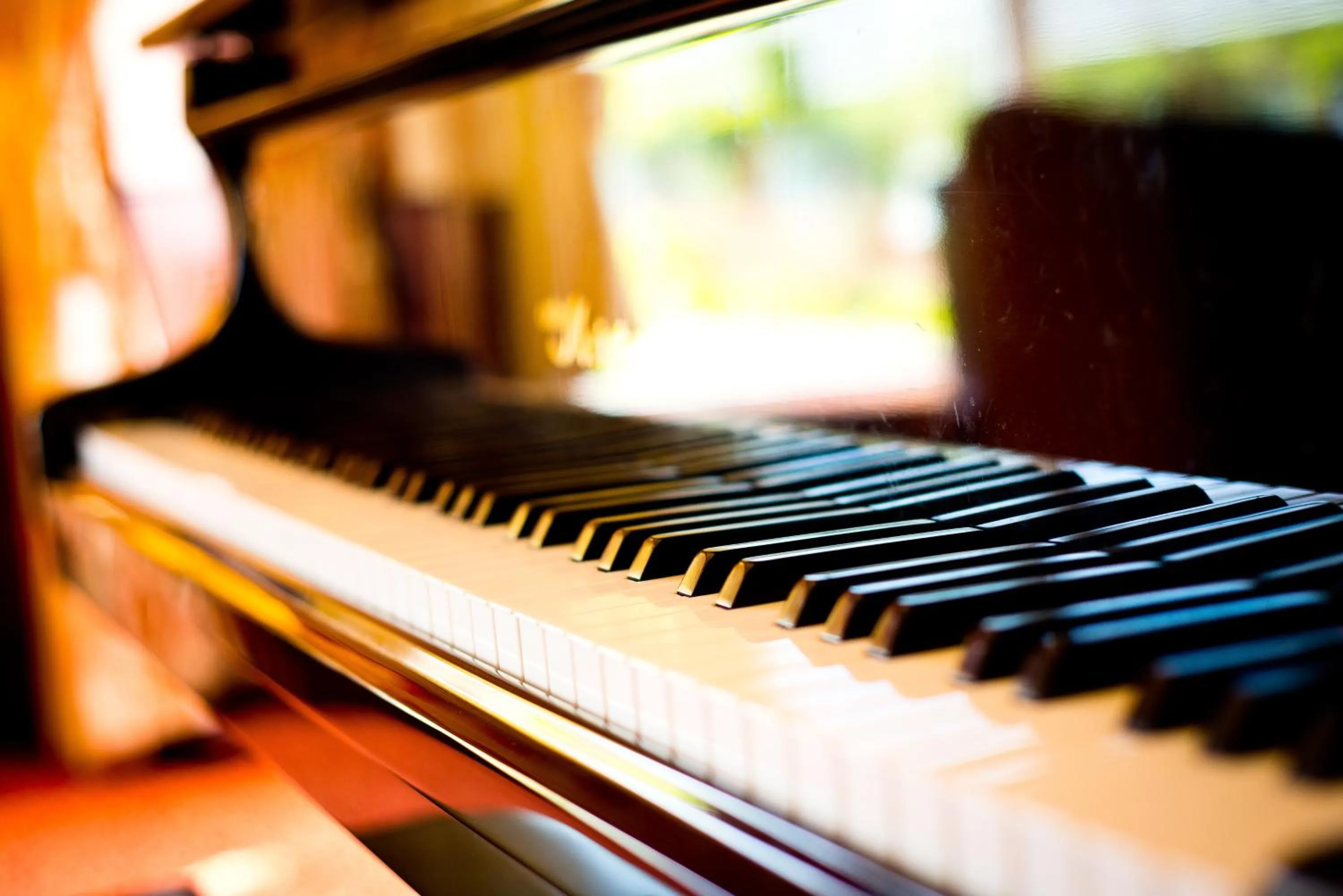 Other in Harvey's Point