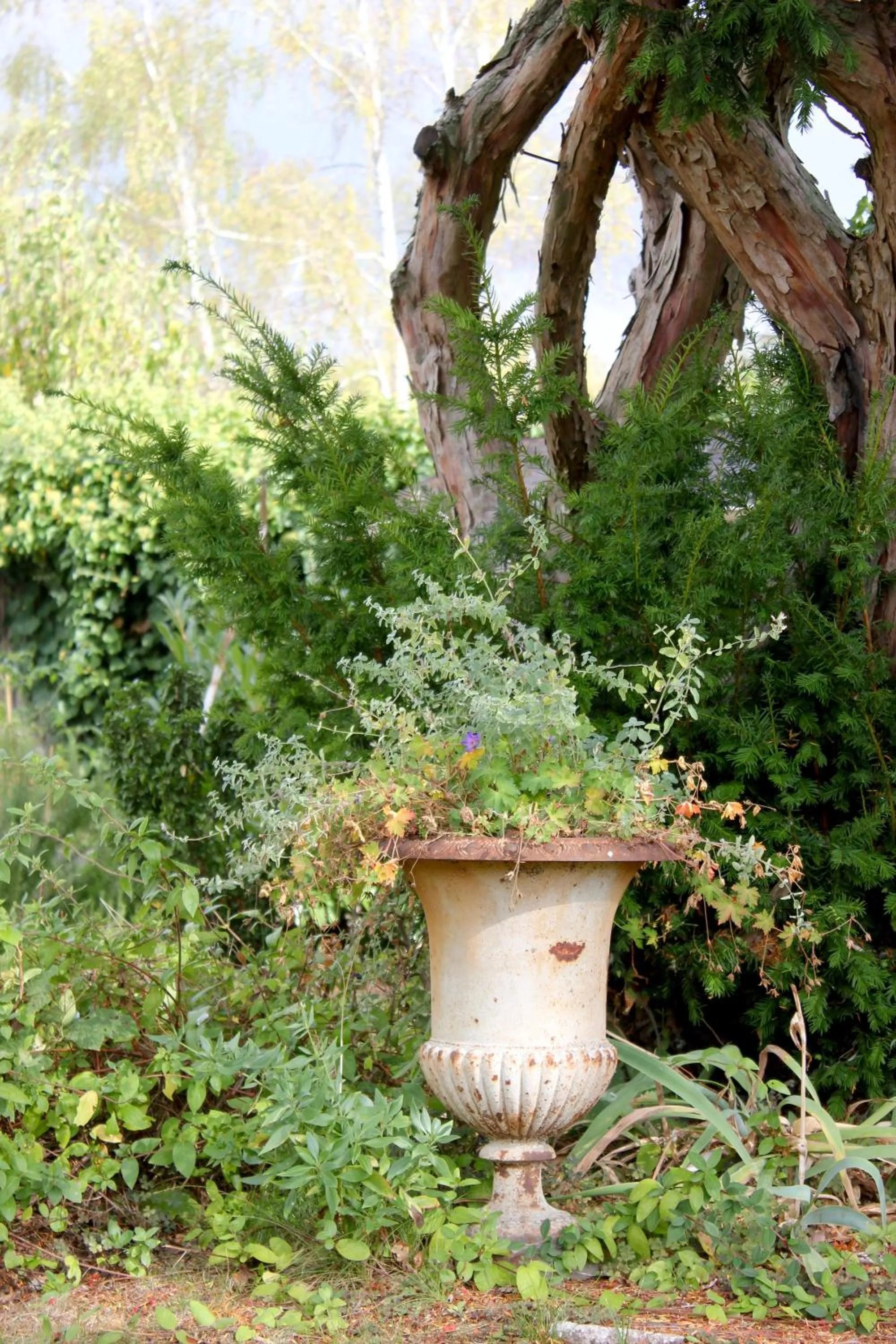 Garden in Le Chemin du Village