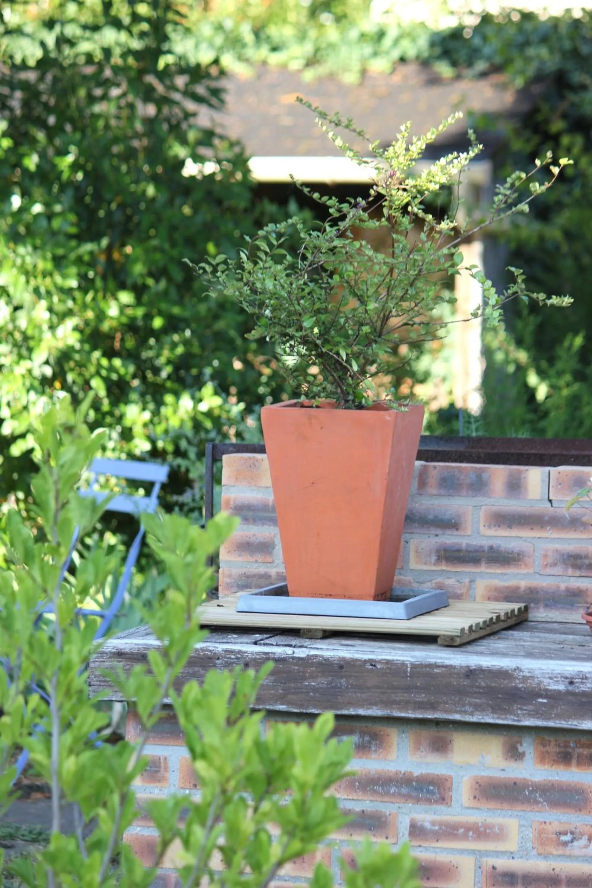 Garden in Le Chemin du Village