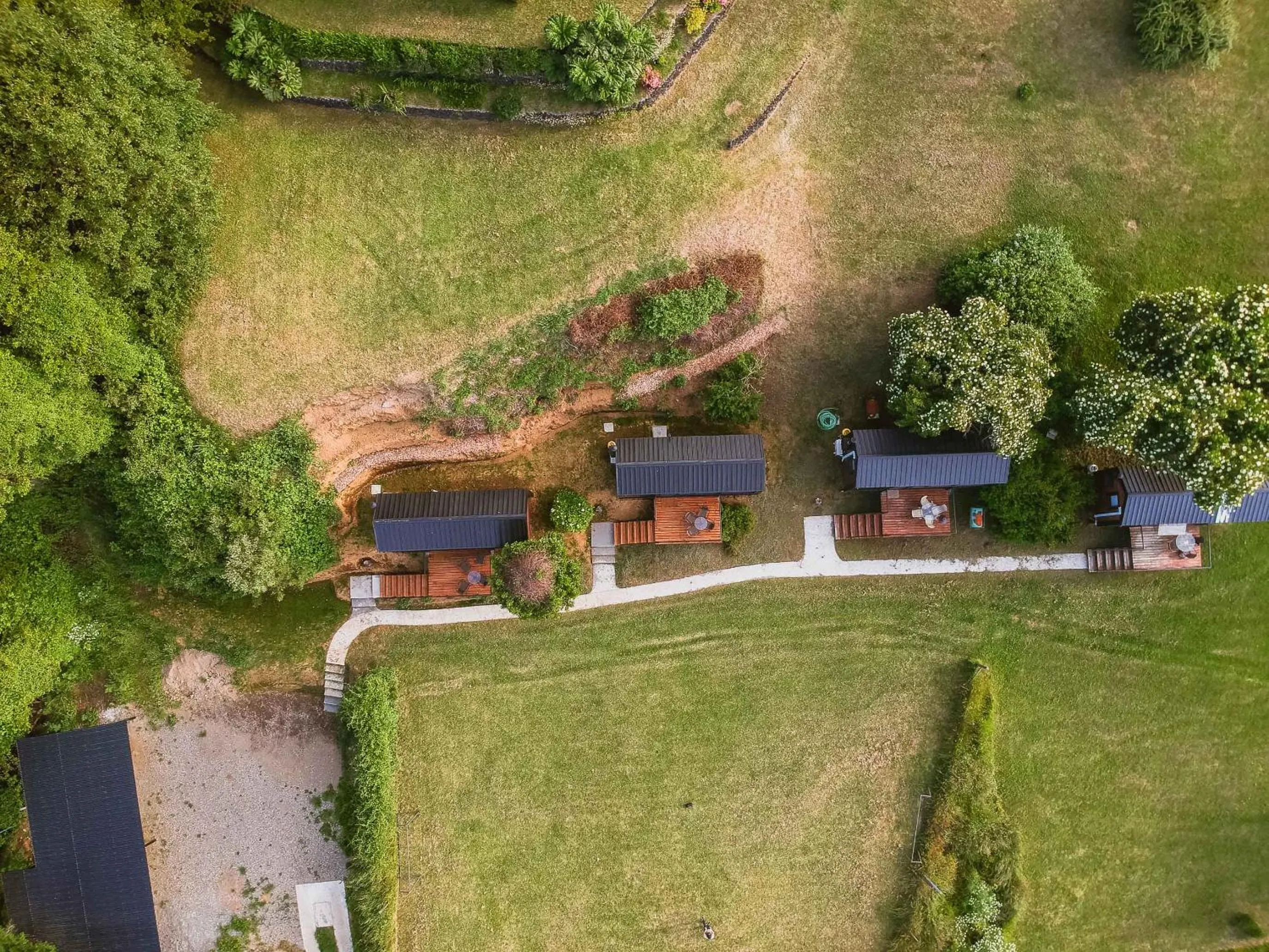 Cabañas Monte Verde