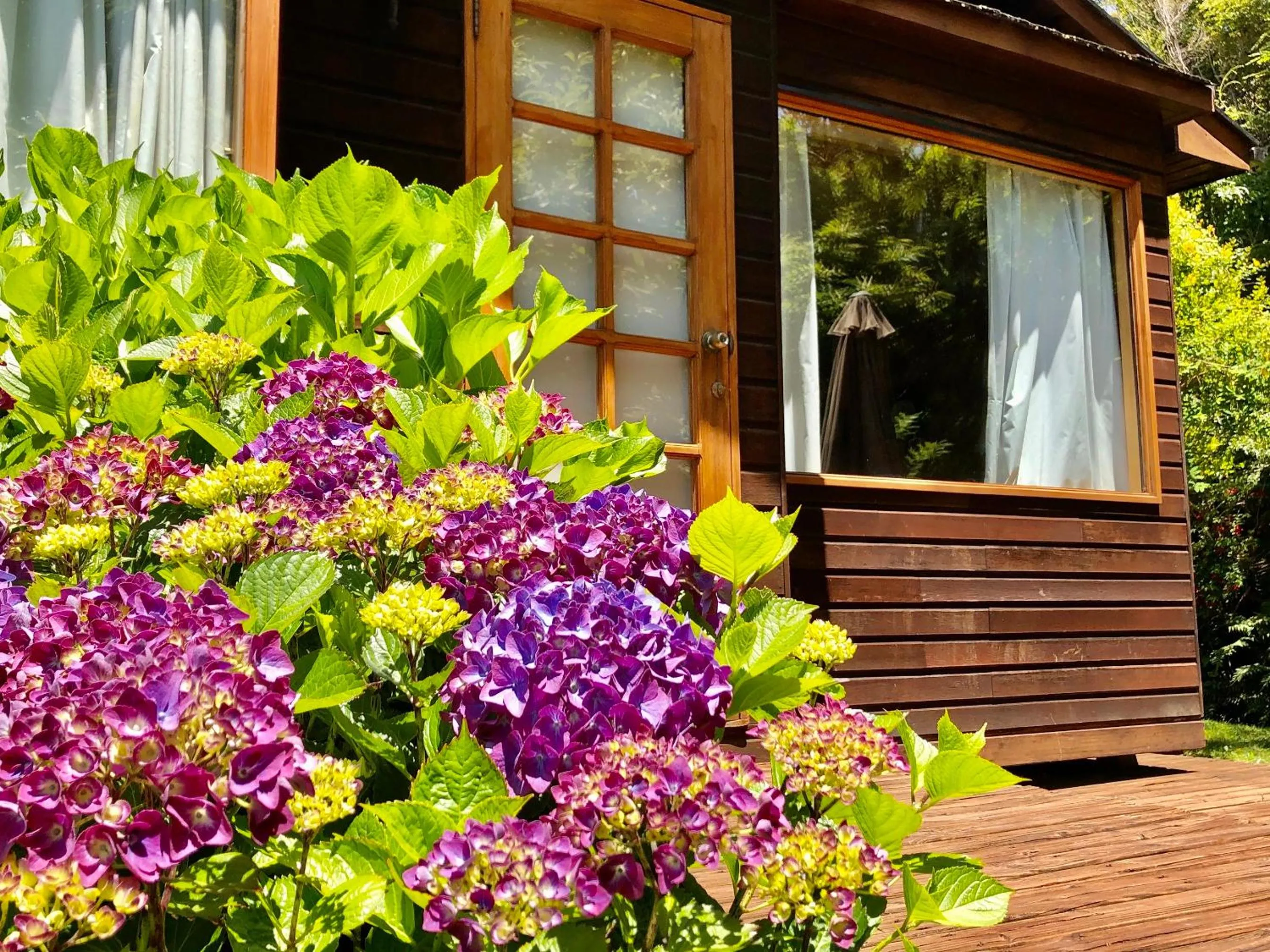 Cabañas Monte Verde