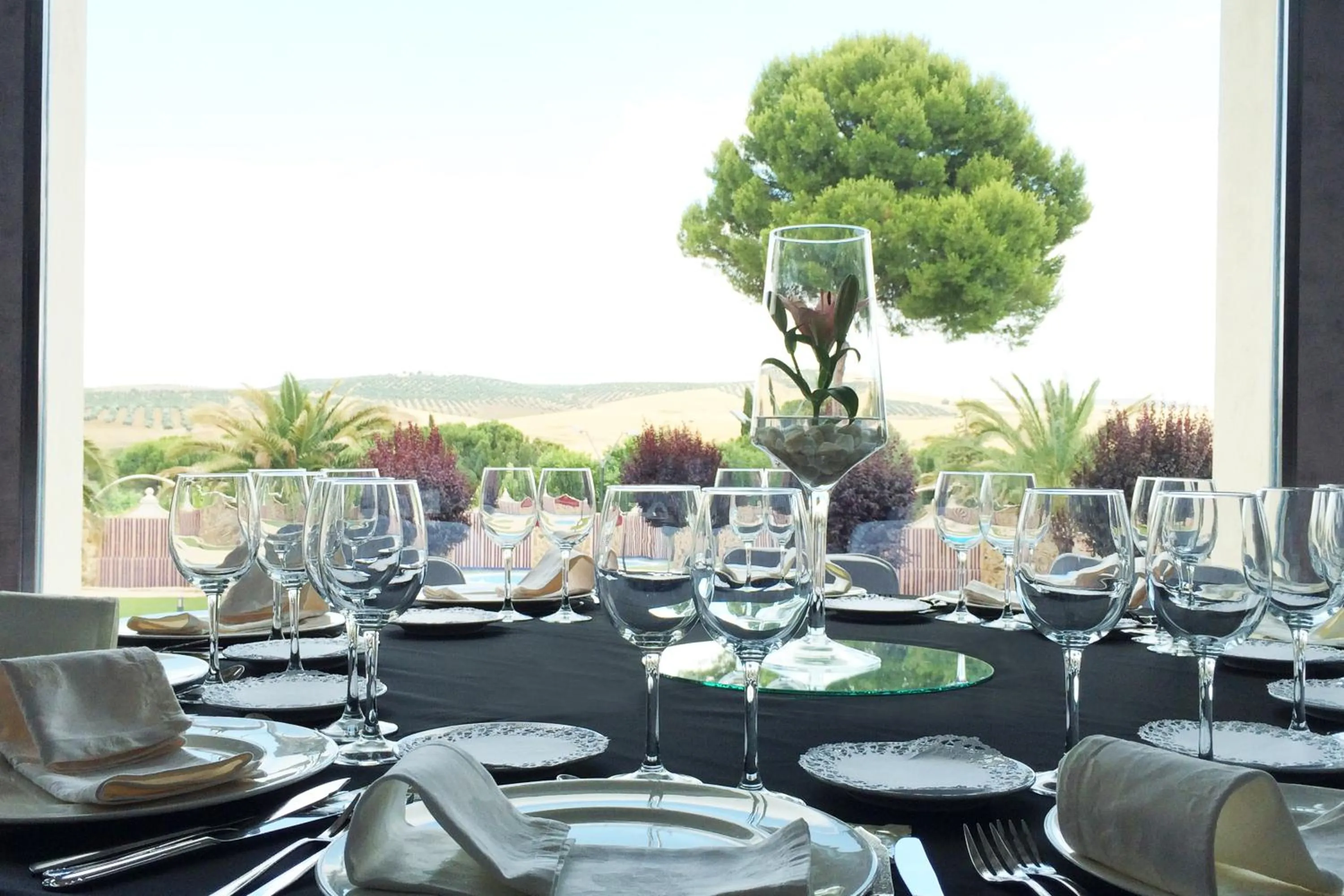 Banquet/Function facilities in Hotel Juleca