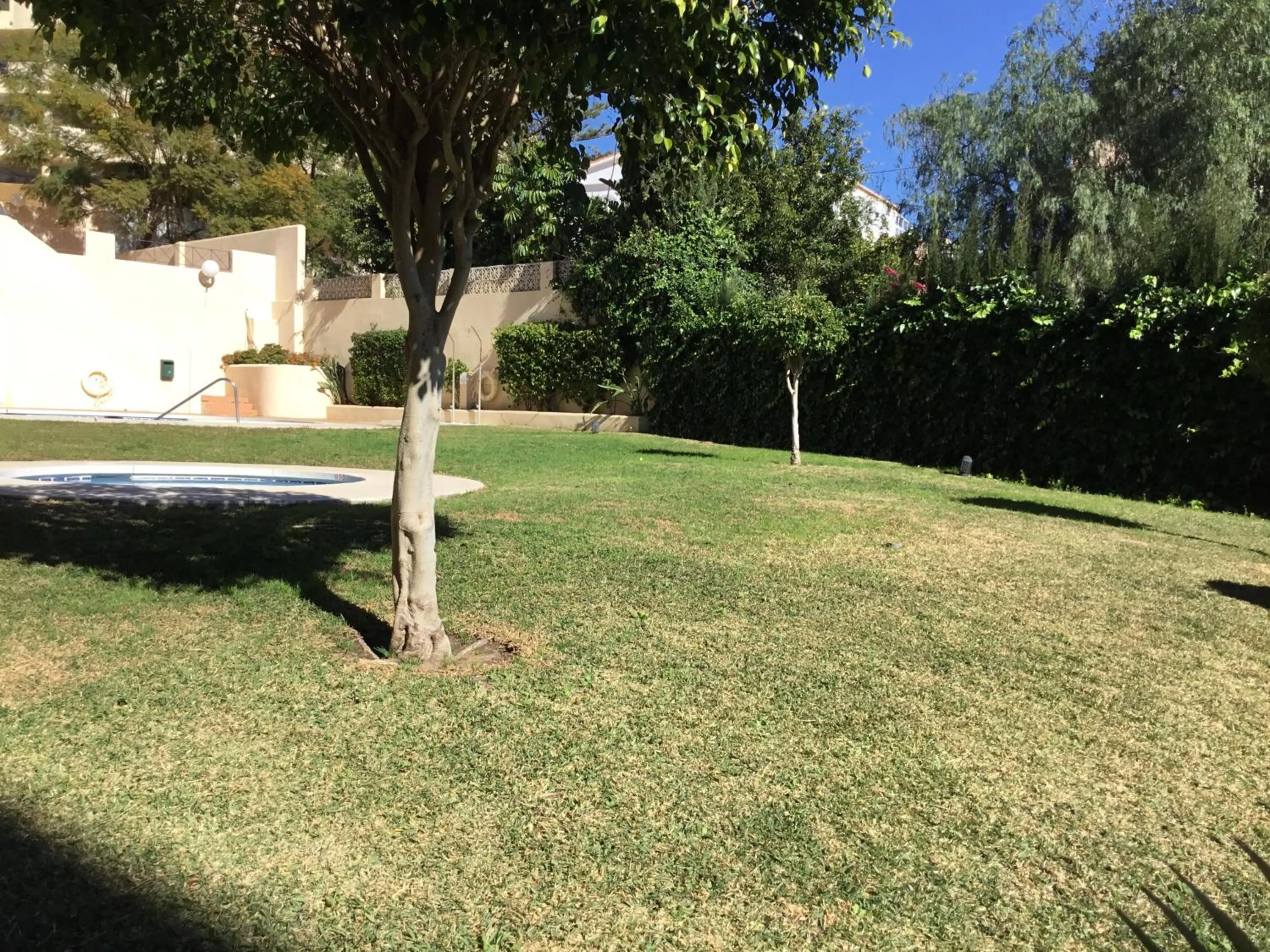 Garden view in Fuengirola Apartment