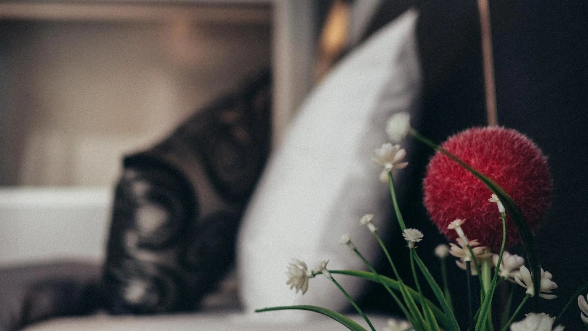 Photo of the whole room in Step One at Bangkok