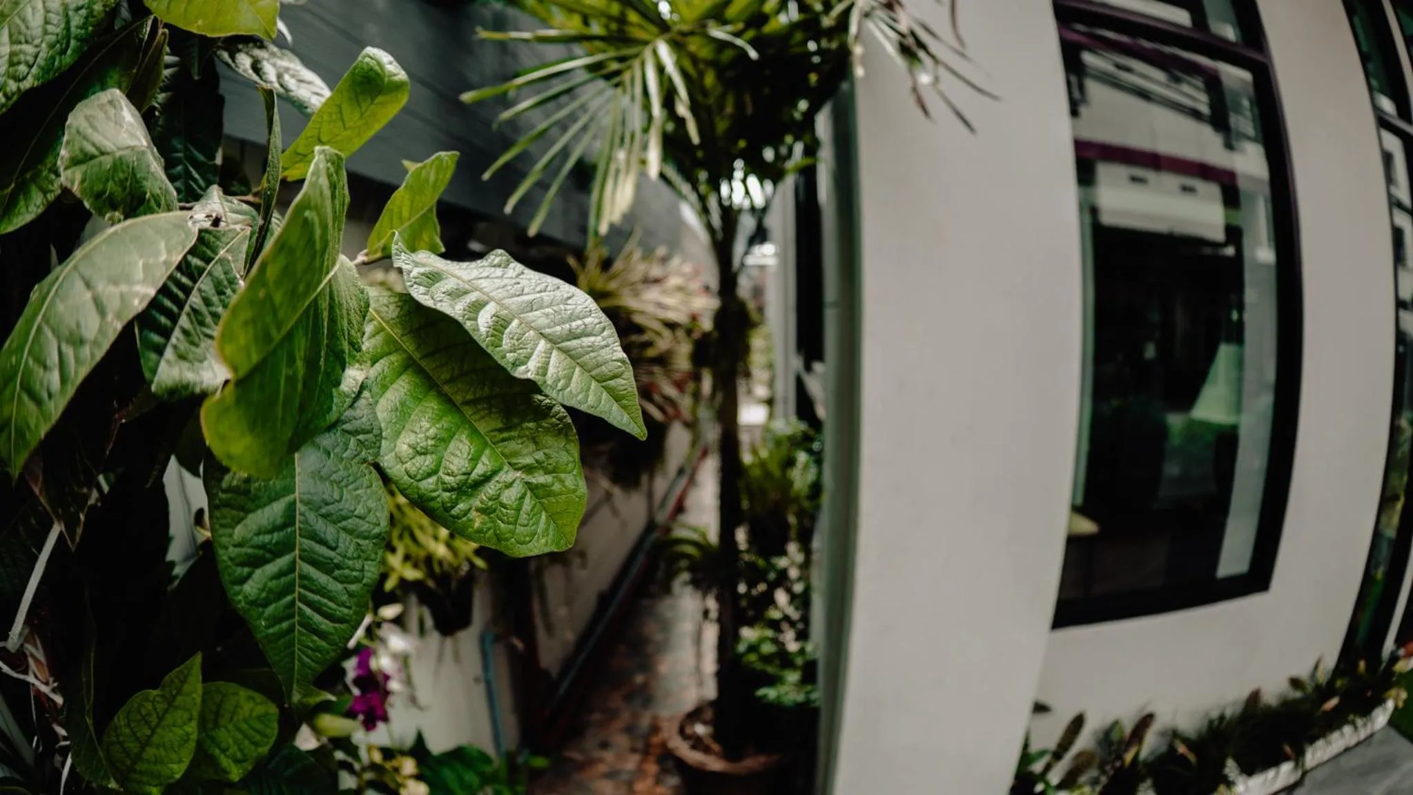 Property building in Step One at Bangkok