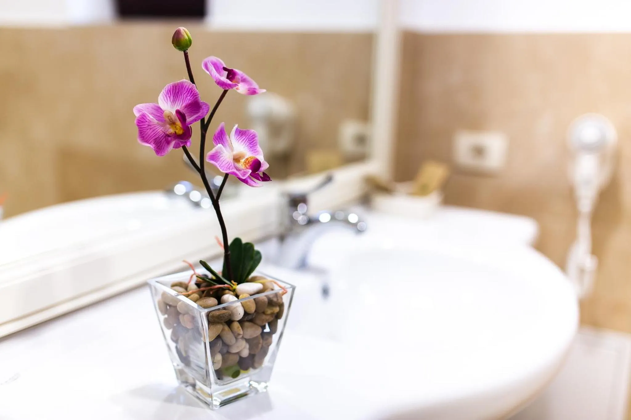 Bathroom in Ave, Alba!