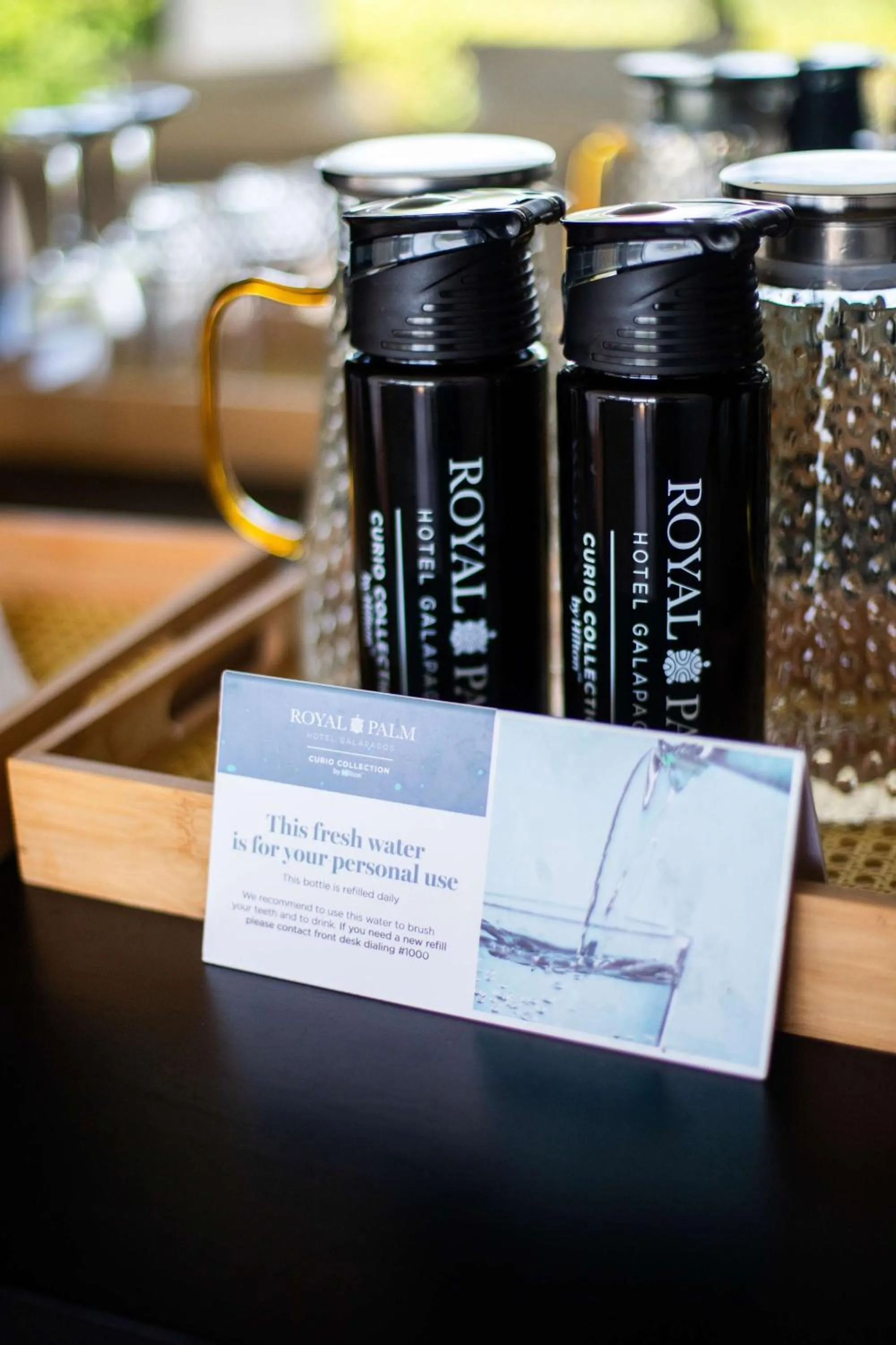 Restaurant/places to eat in Royal Palm Galapagos, Curio Collection Hotel by Hilton