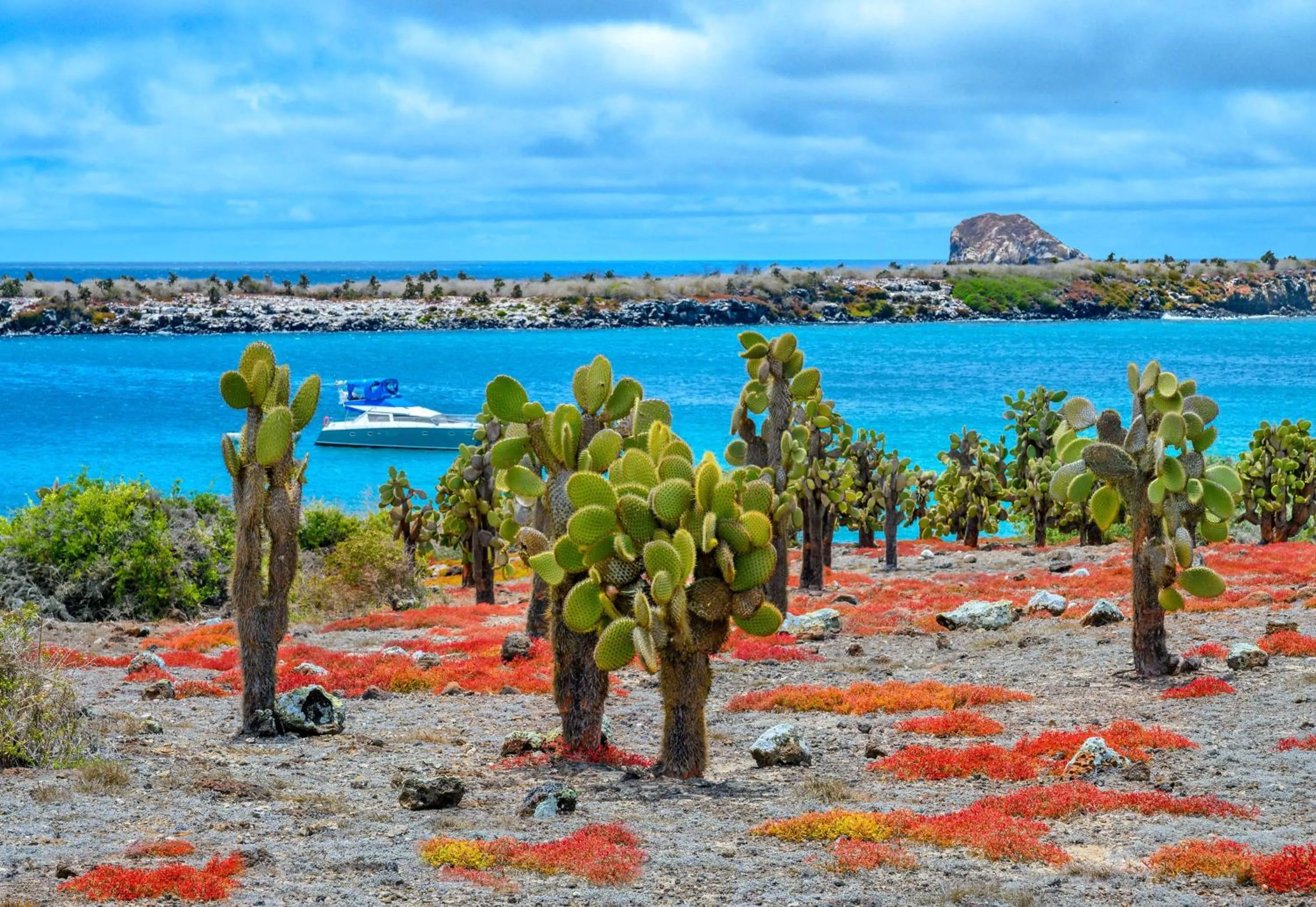 Nearby landmark in Royal Palm Galapagos, Curio Collection Hotel by Hilton