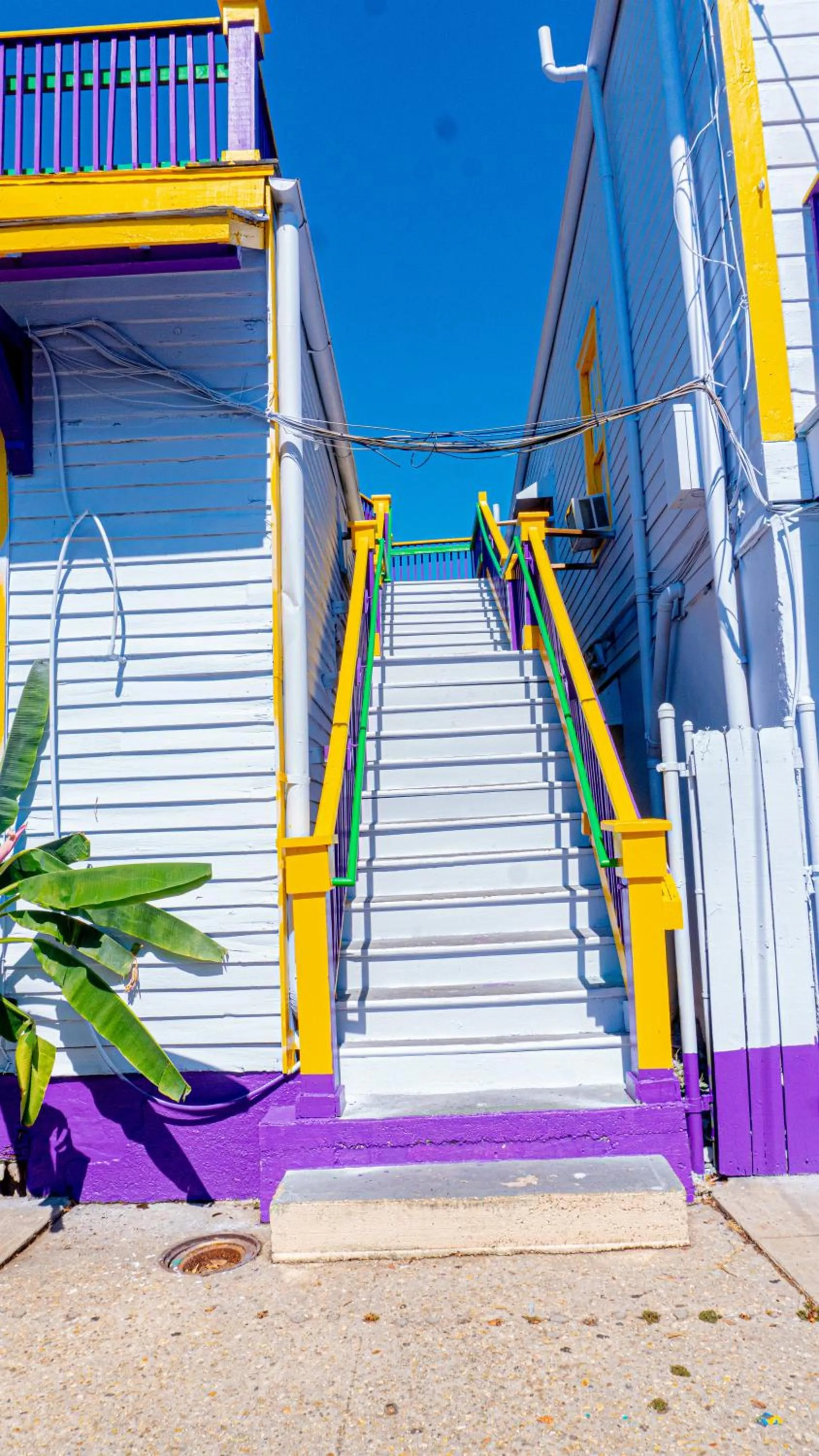 Property building in Historic Mardi Gras Inn