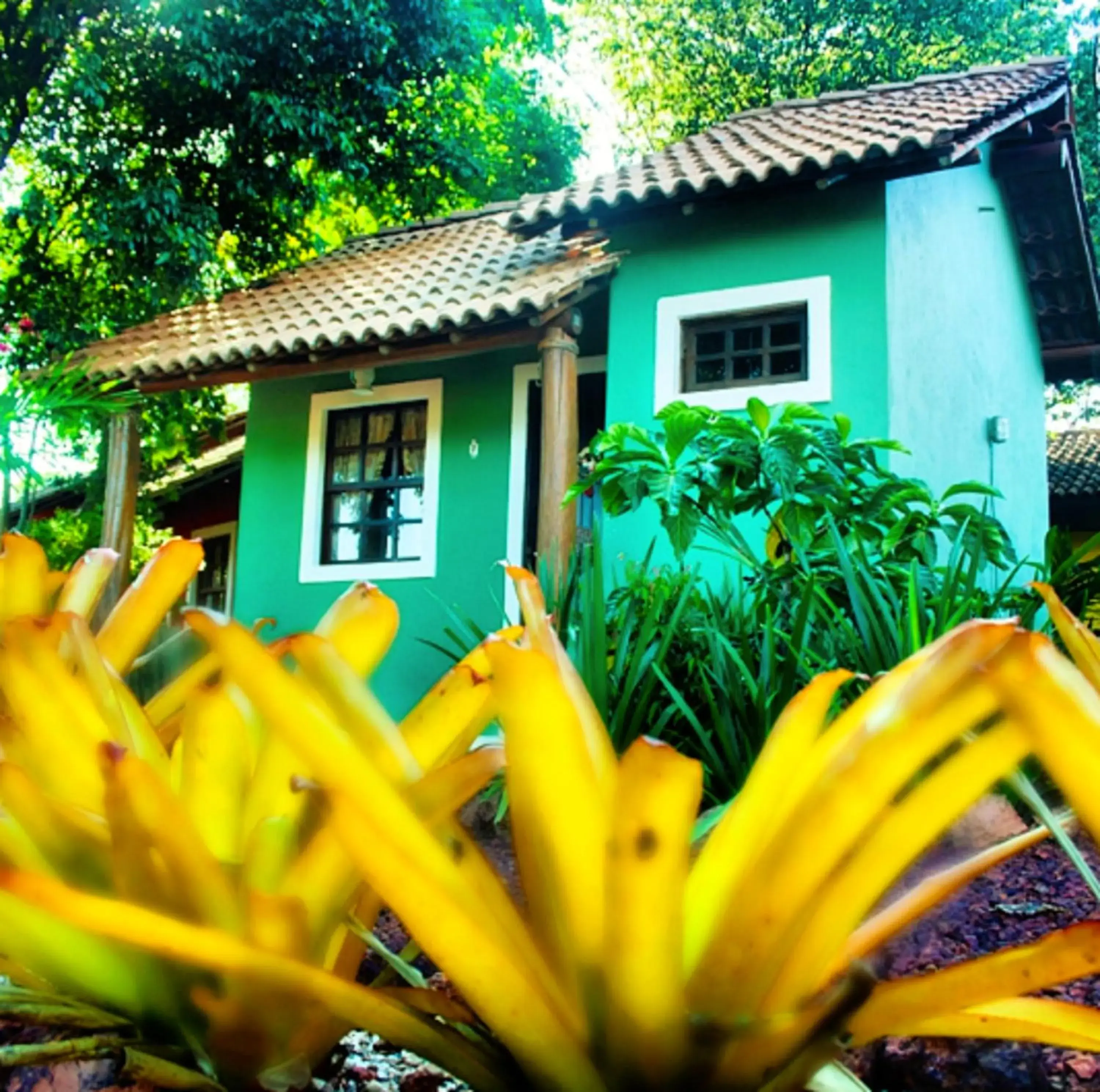 Bungalow (2 Adults) in Mirante de Lençóis Bungalow (2 Adults) in Mirante de Lençóis