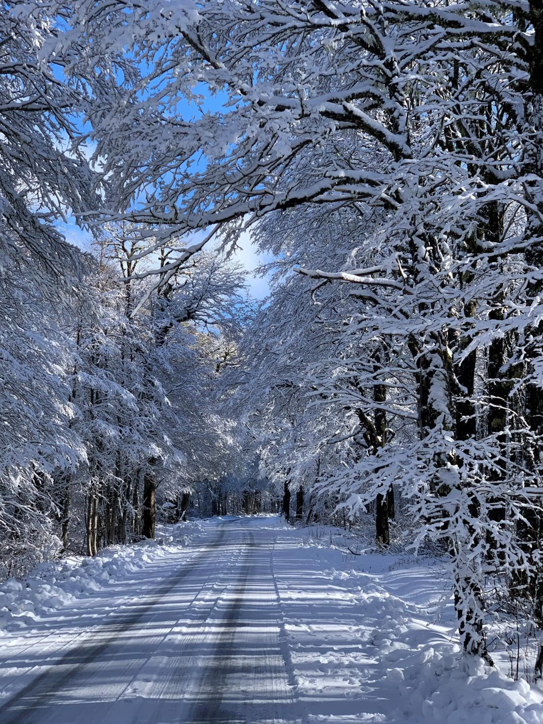 Hotel Termas Puyehue Wellness & Spa Resort