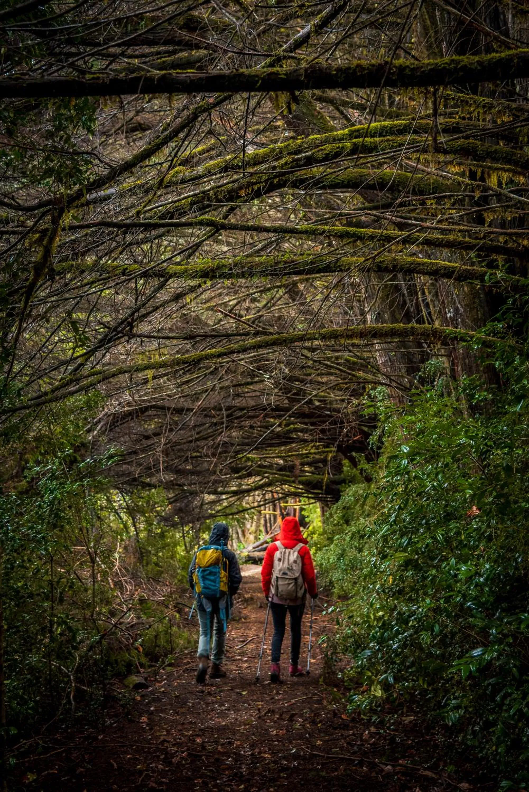 Hotel Termas Puyehue Wellness & Spa Resort