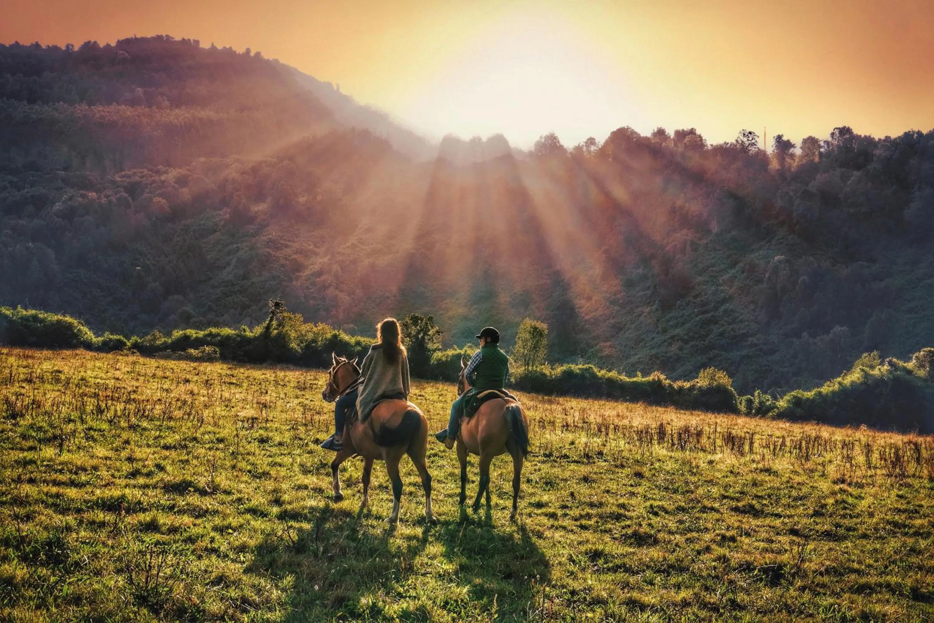 Hotel Termas Puyehue Wellness & Spa Resort