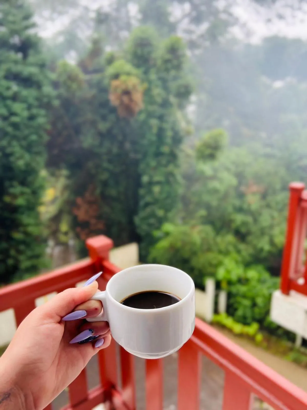 Pousada do Lago - Gramado