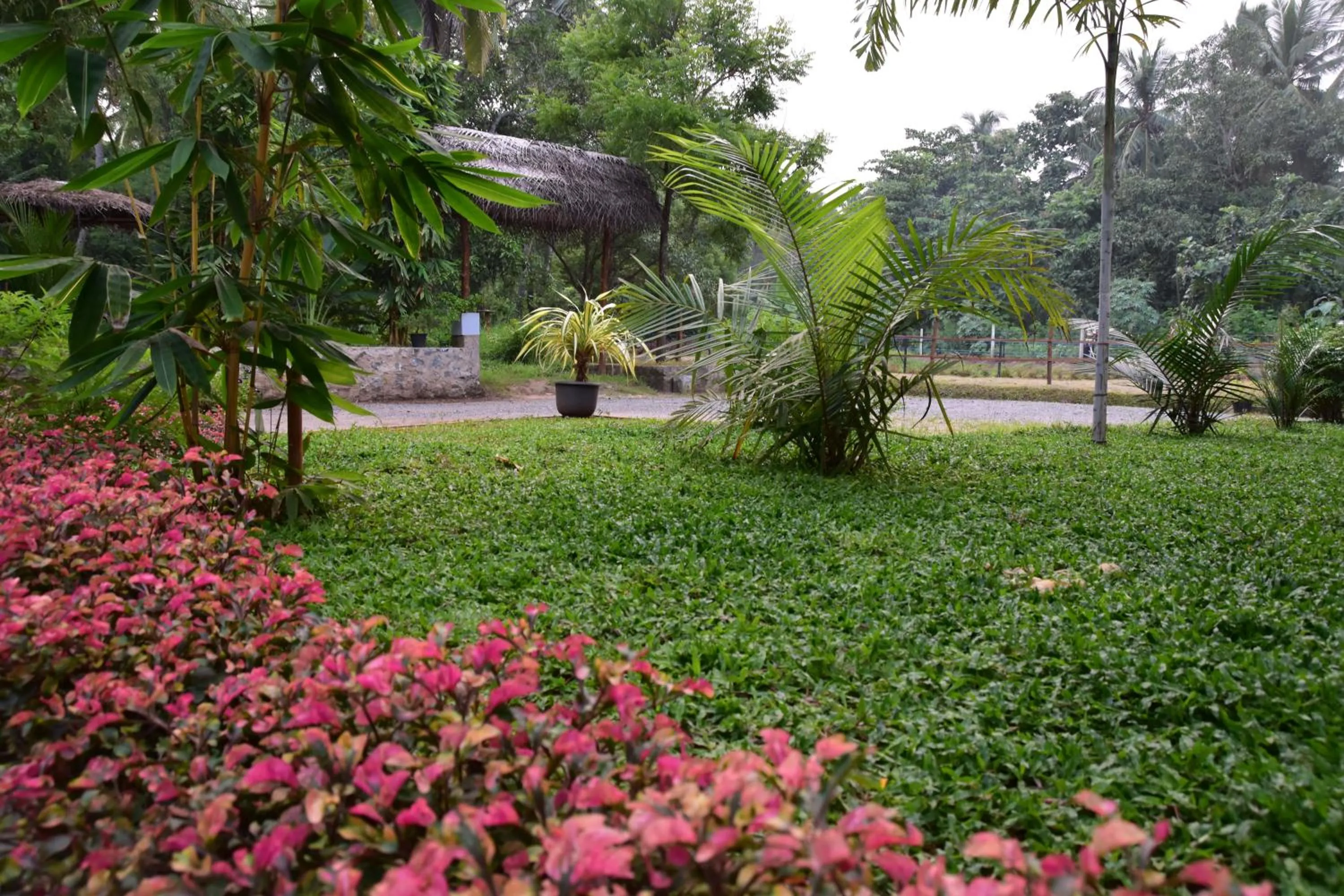 Natural landscape in Avian Garden Udawalawe