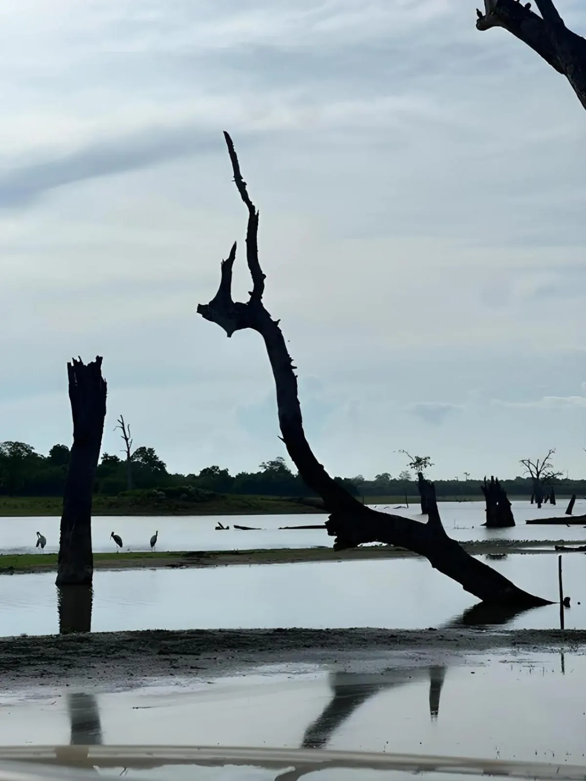 Natural landscape in Avian Garden Udawalawe