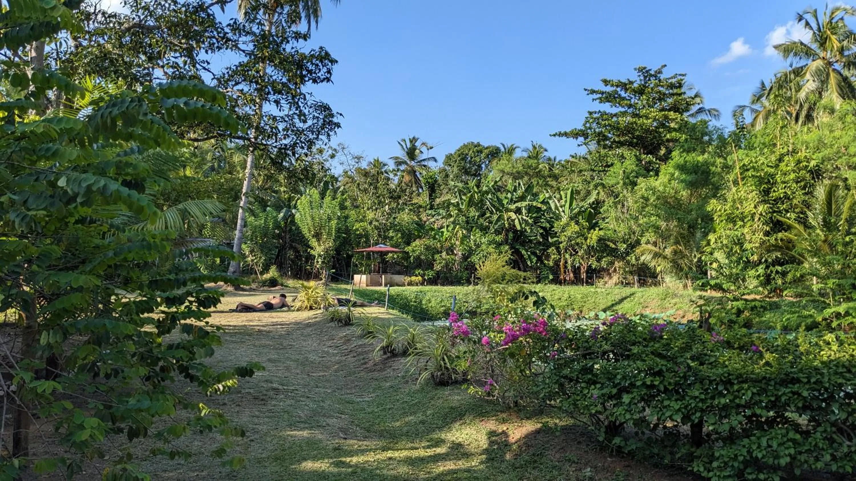 Natural landscape in Avian Garden Udawalawe