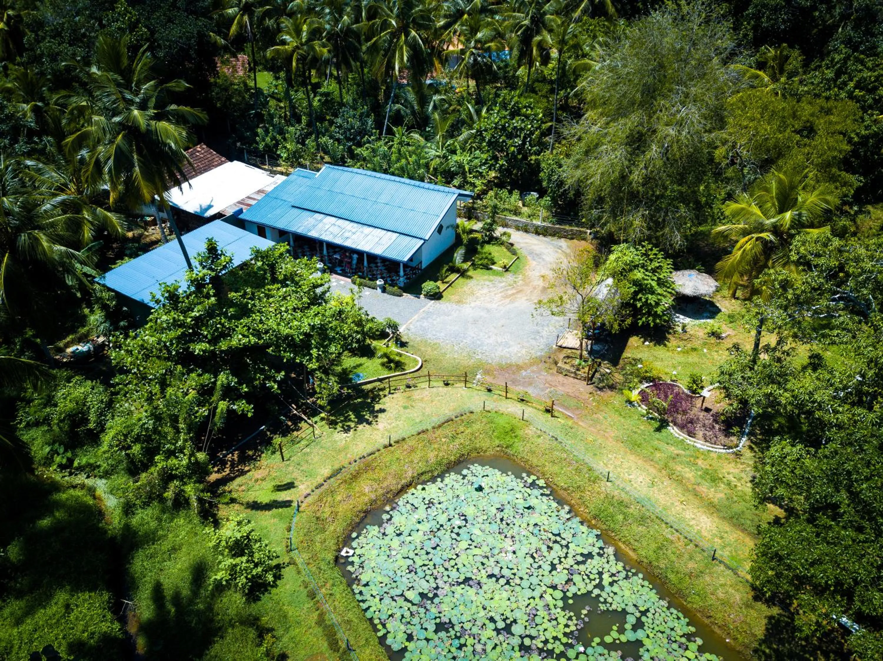 Natural landscape in Avian Garden Udawalawe